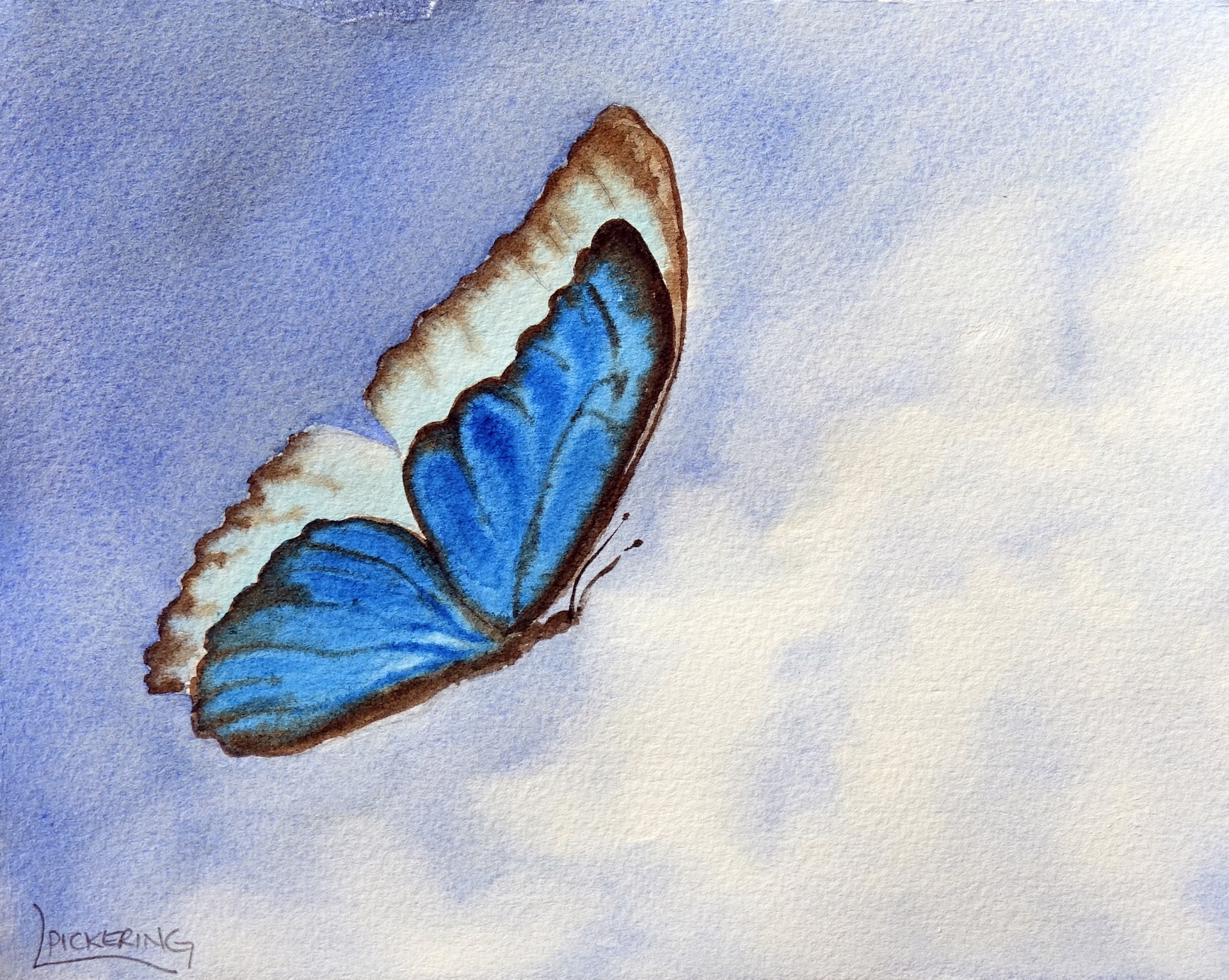 Blue Flutter by Laura Pickering