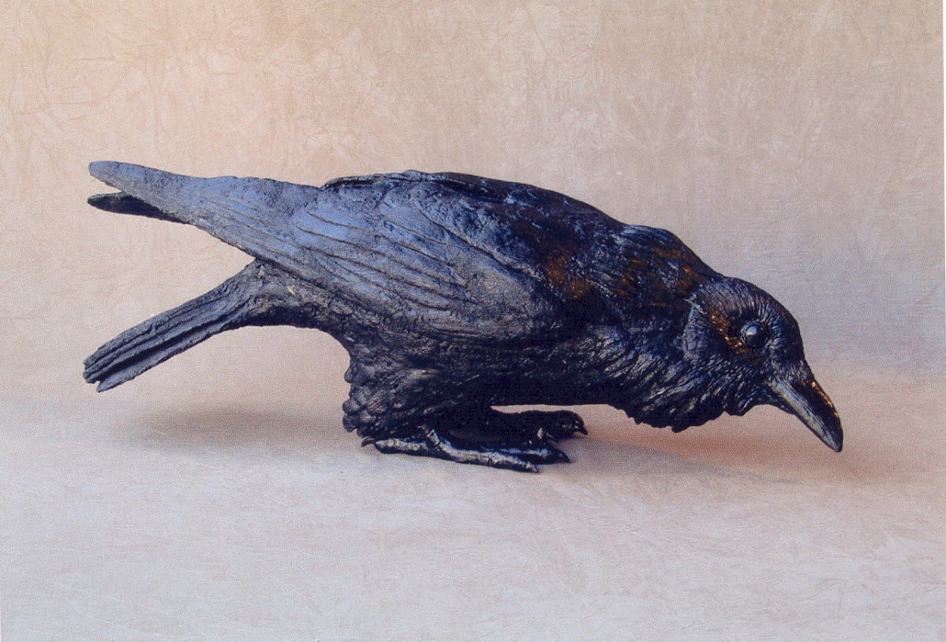 Raven X by Jim Eppler