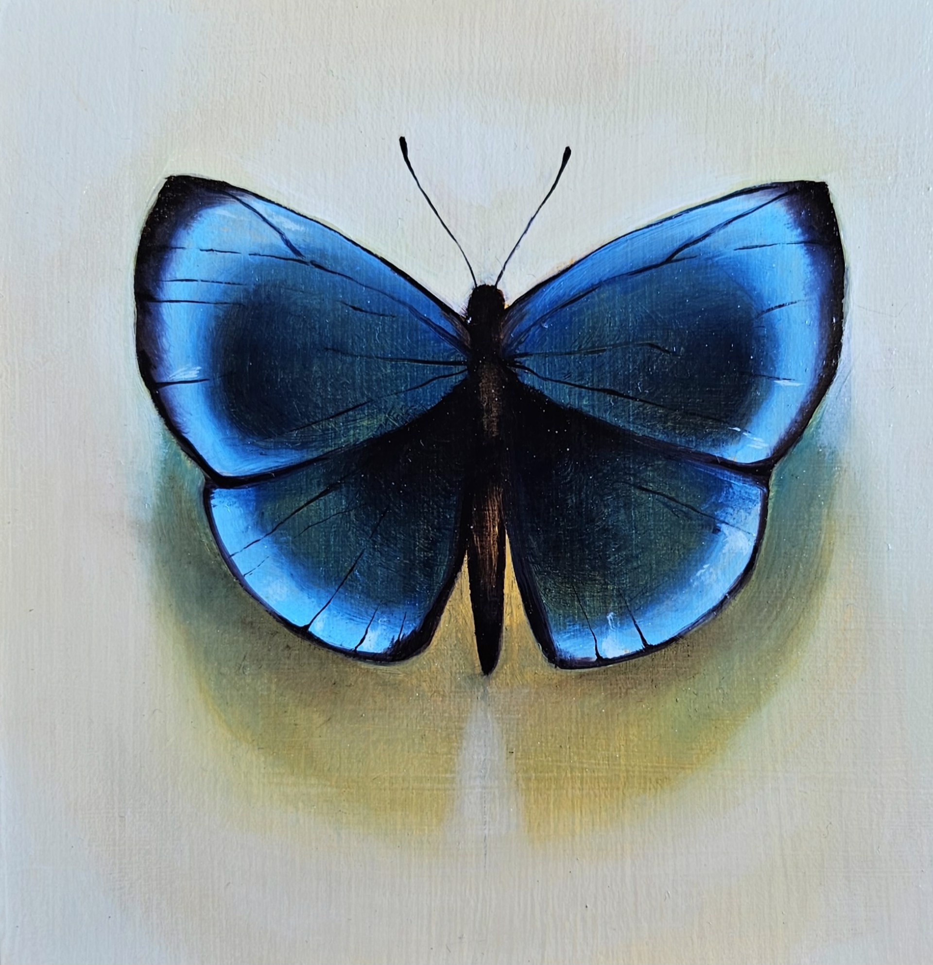 Untitled - Blue Butterfly by Ida Floreak