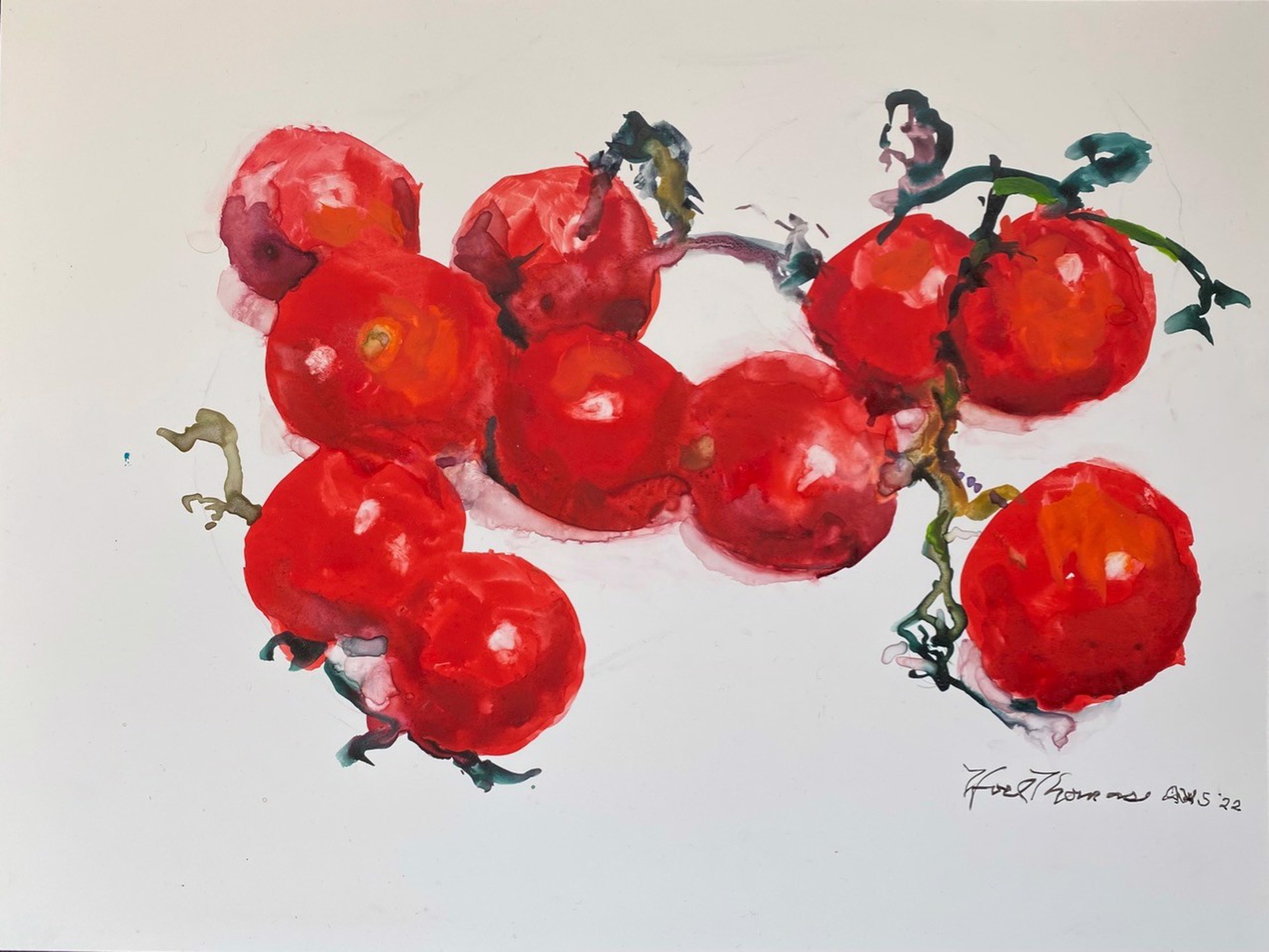 Tomatoes on the Vine by Noel Thomas