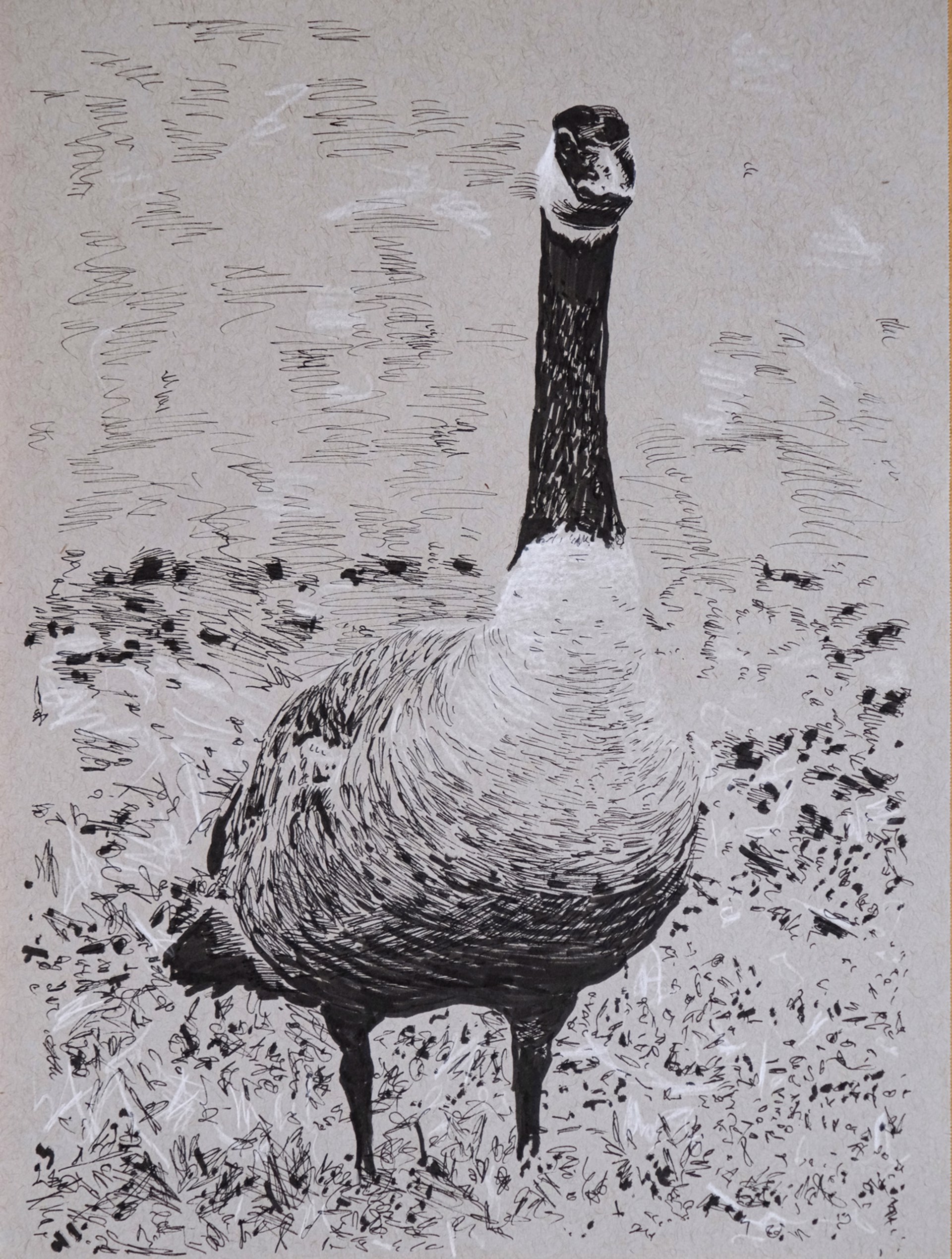 Standing Goose by Ed Ford