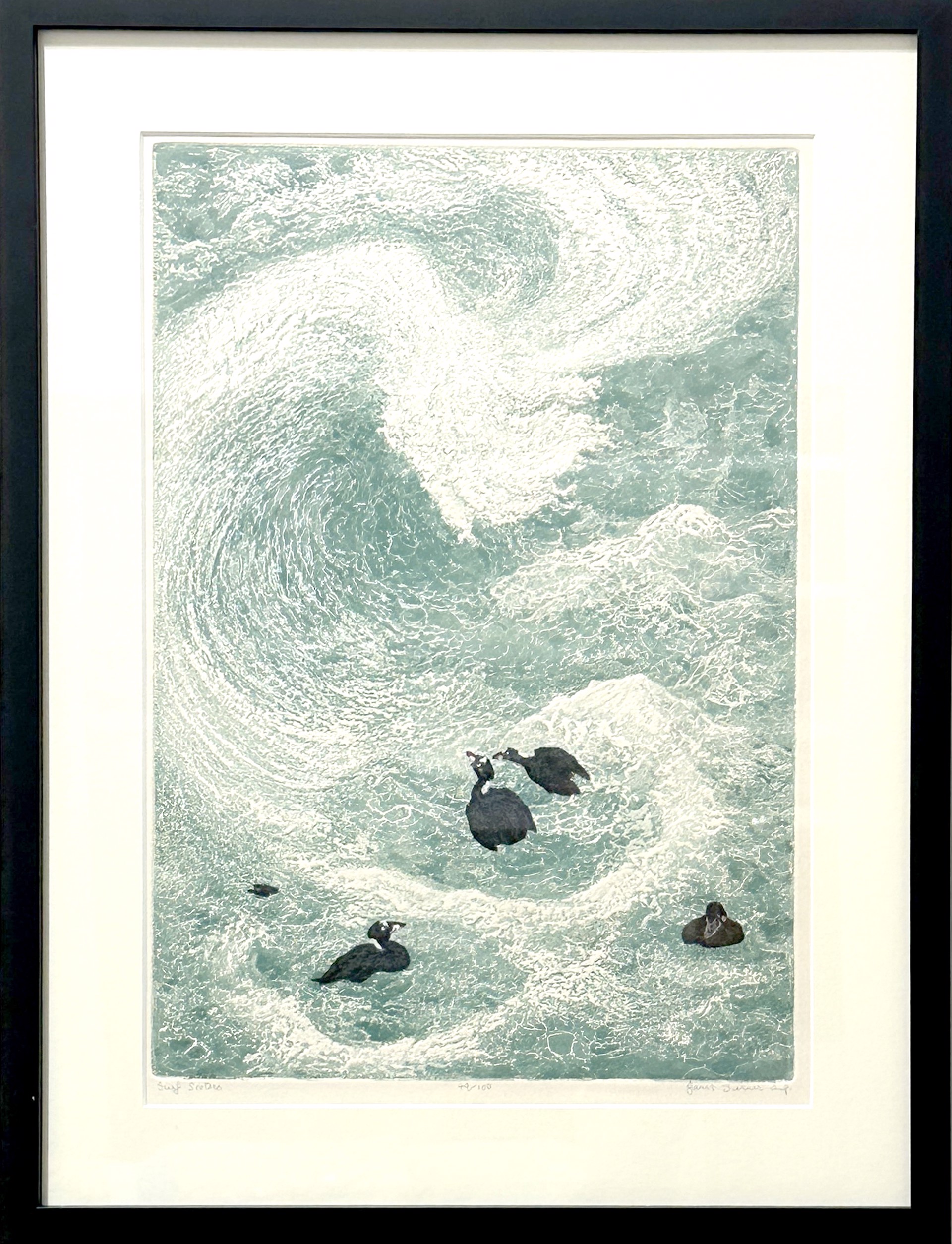 Surf Scoters by Janet Turner