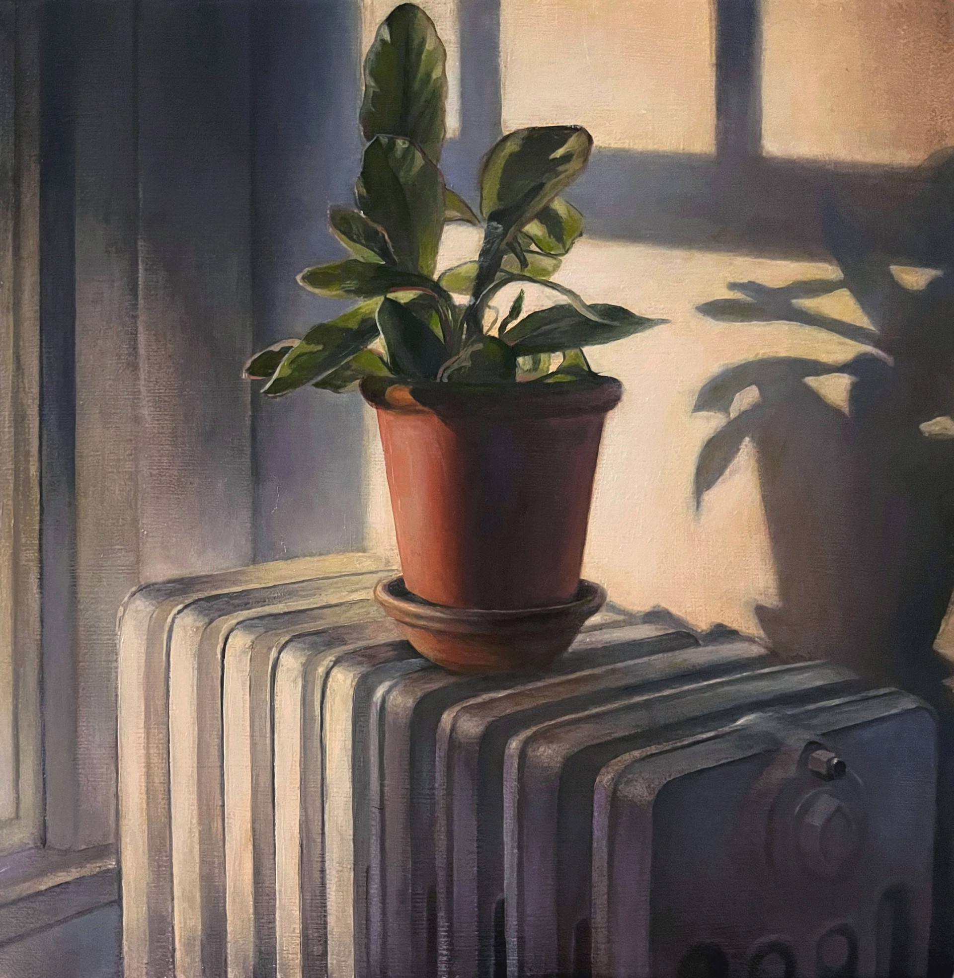 Houseplant in Light by Michael Banning
