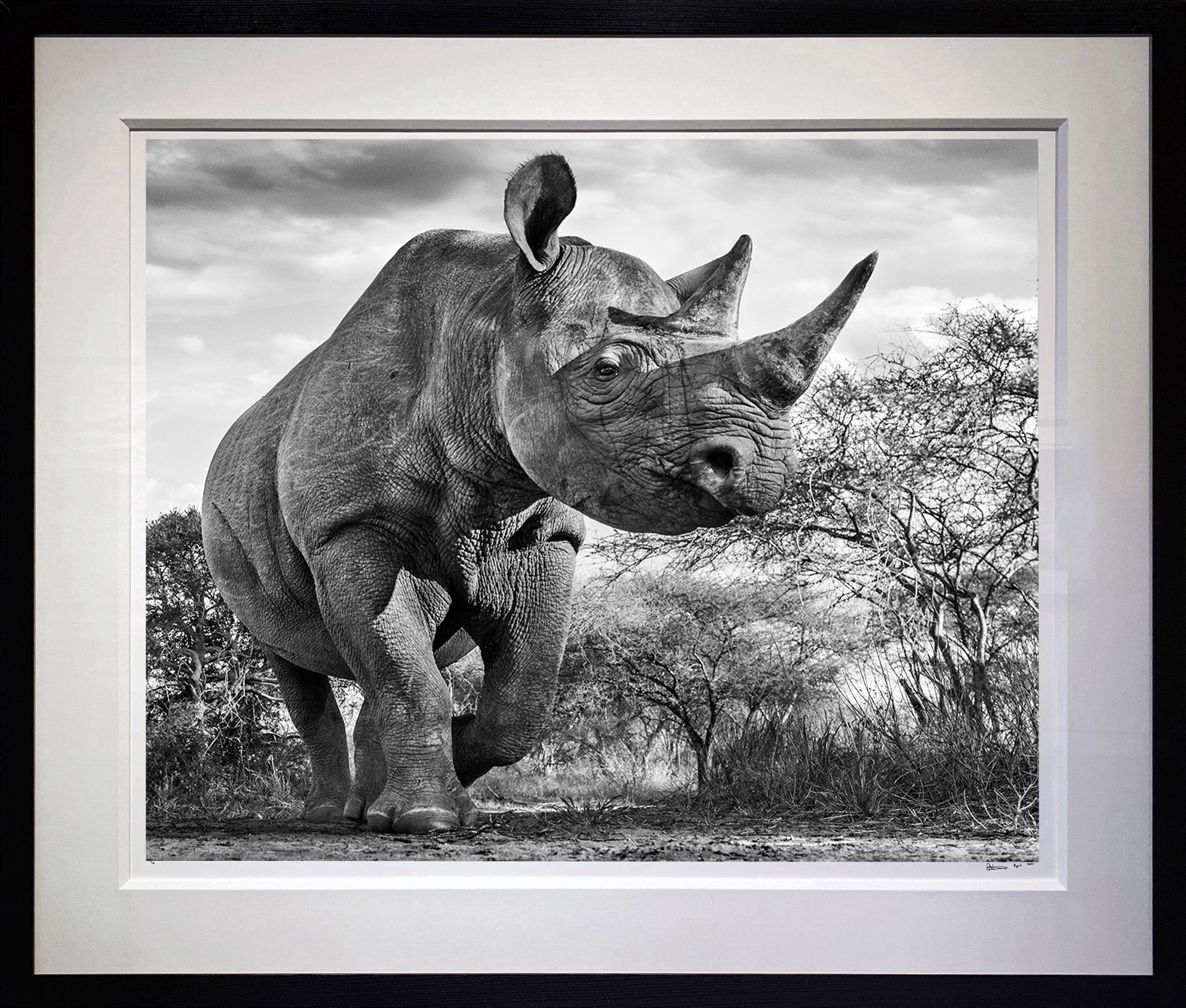 The Departed by David Yarrow