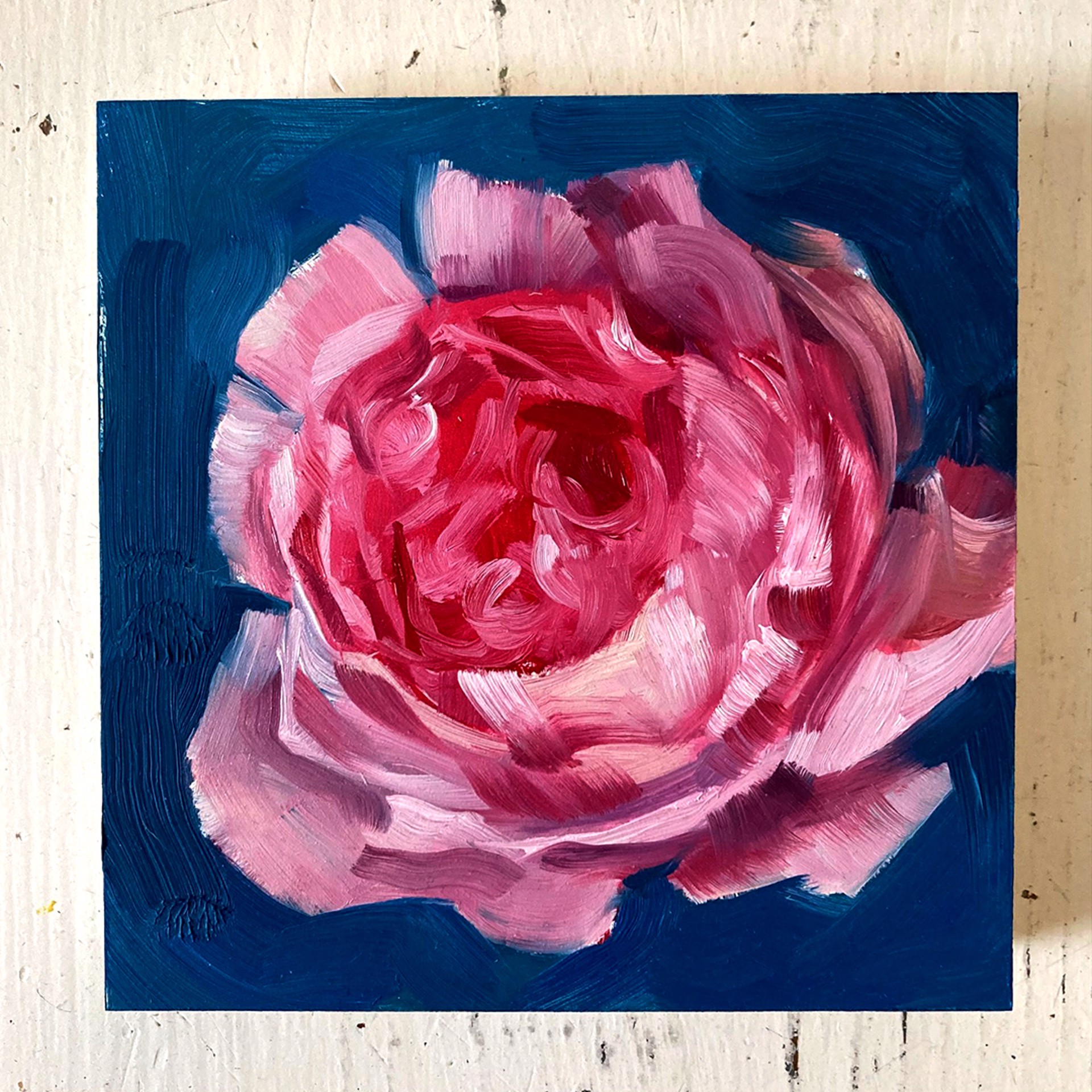 Peony Project #3 by Amy R. Peterson*