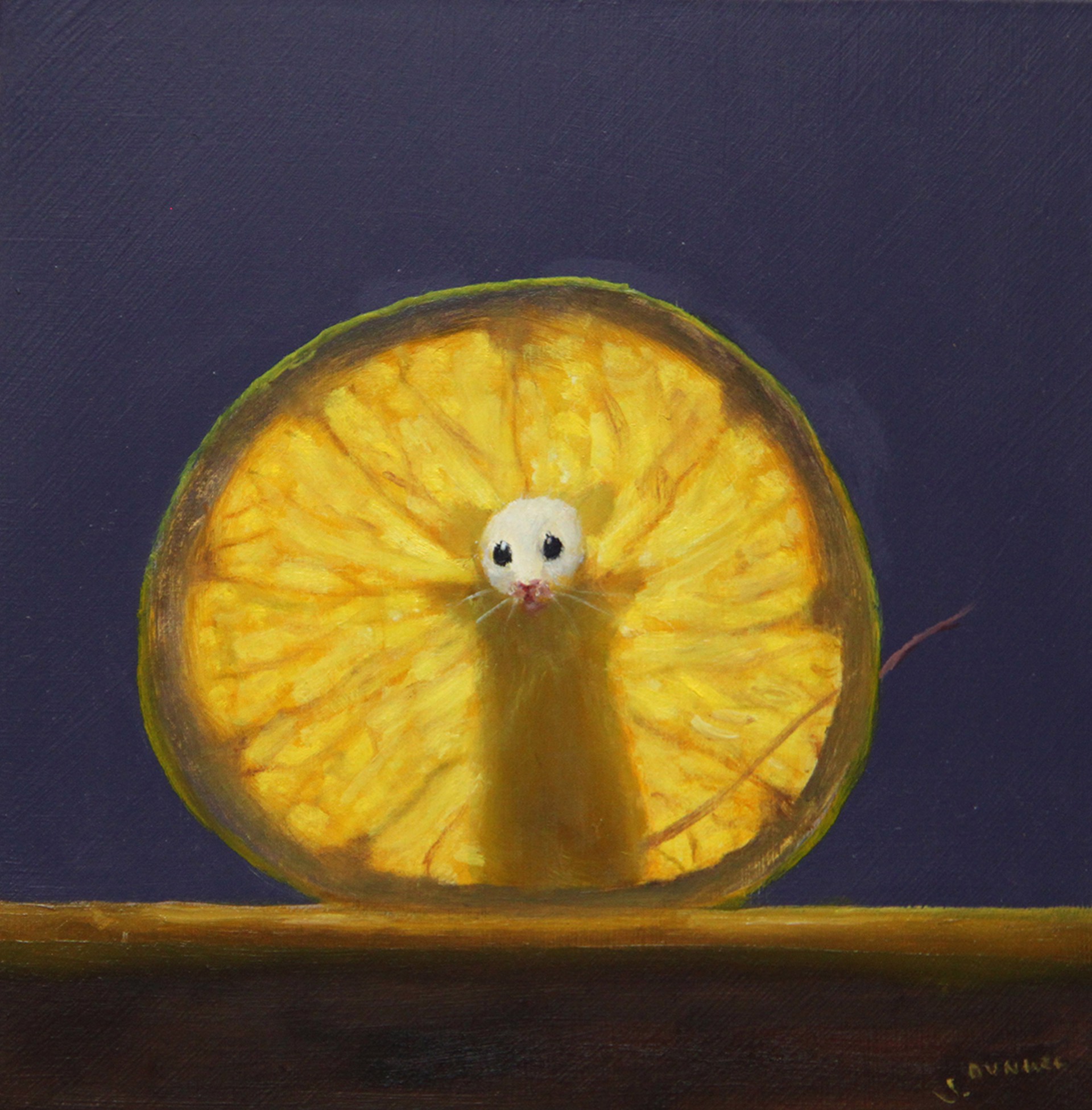 Lemon X-ray by Stuart Dunkel