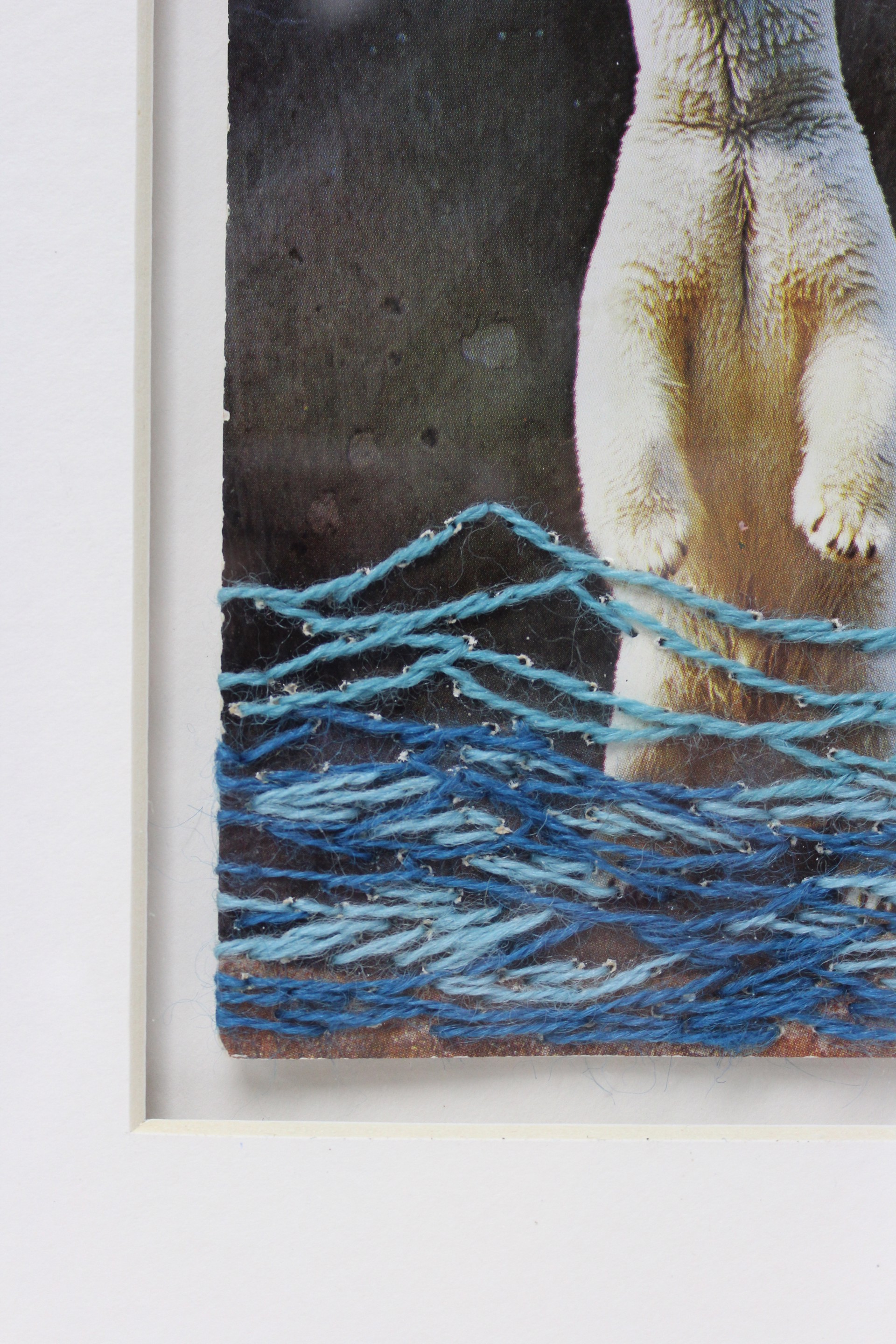 water: Polar Bear by Kathryn Hunter