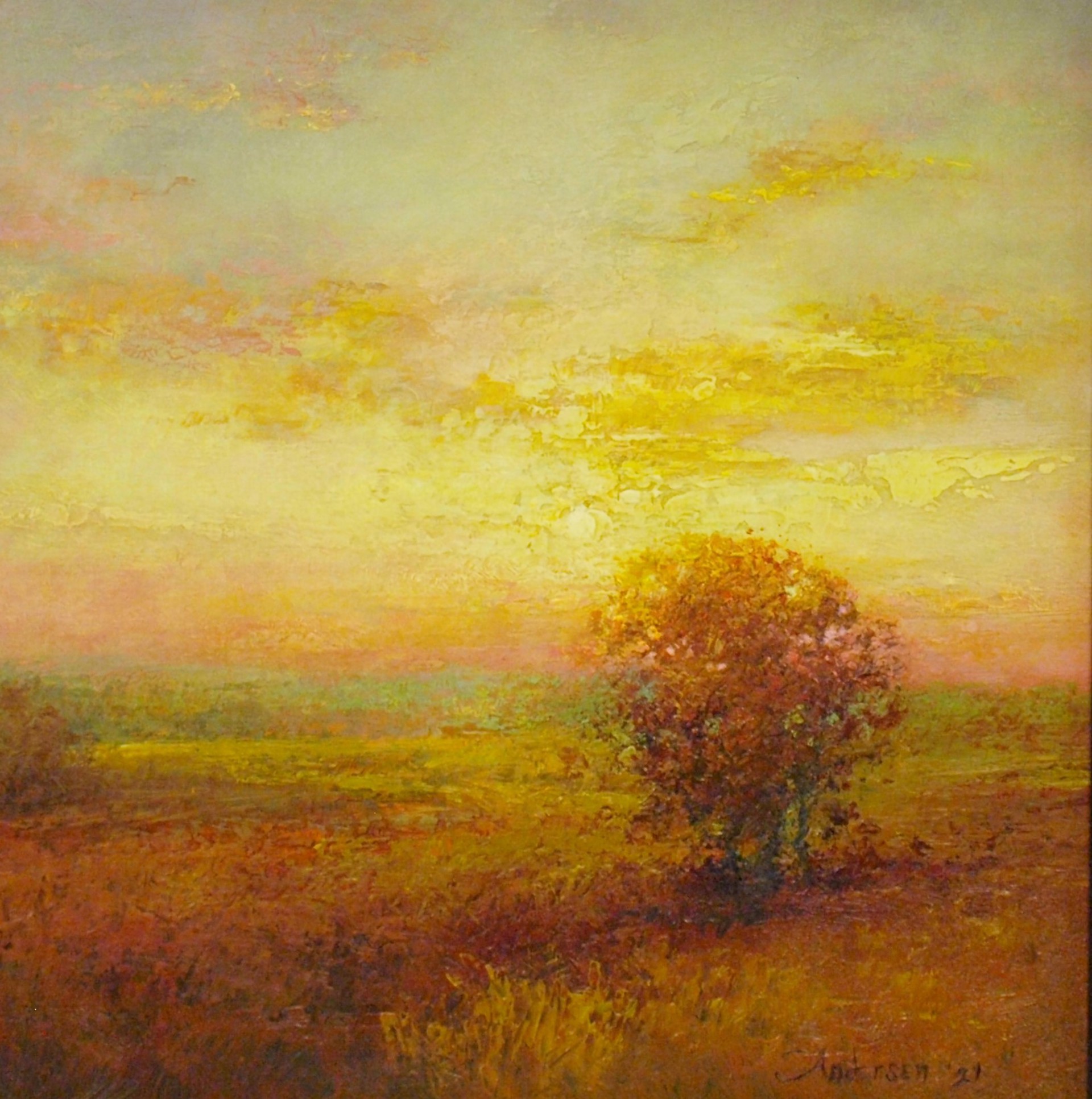 Sunset IV by John Andersen