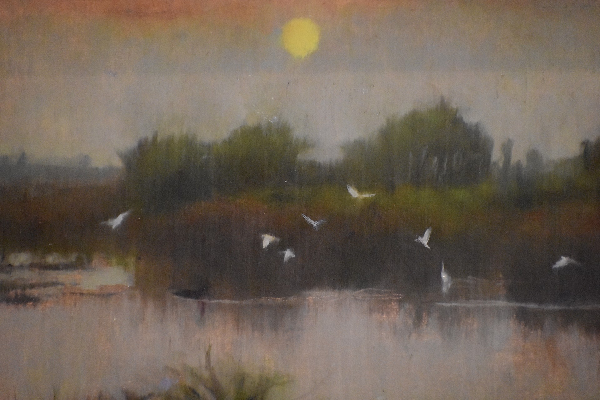 Egrets by Curt Hanson