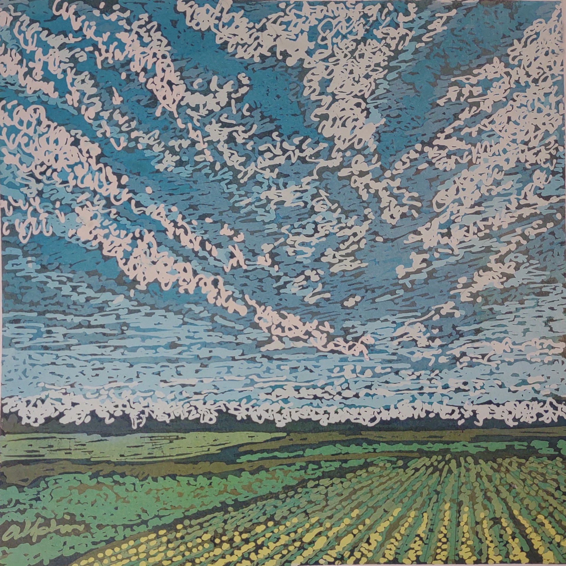 Skies and Fields by Kristine Allphin