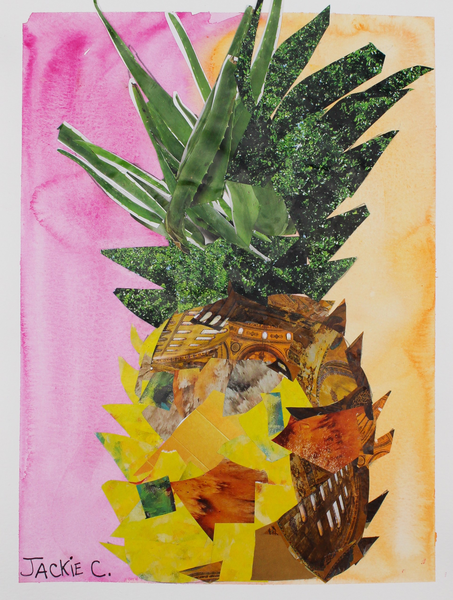 Pineapple by Jacqueline Coleman