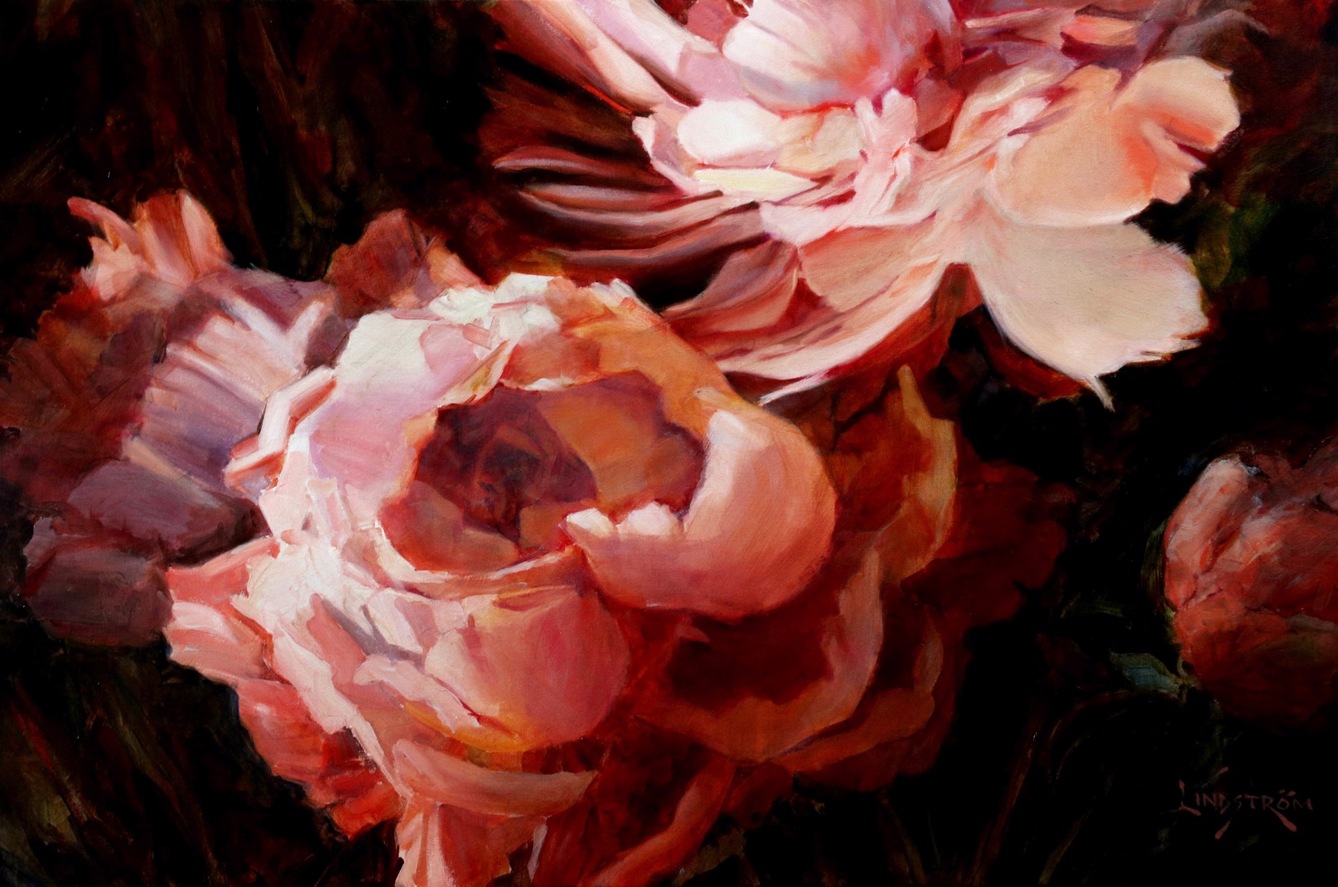 Peony Envy by Bart Lindstrom