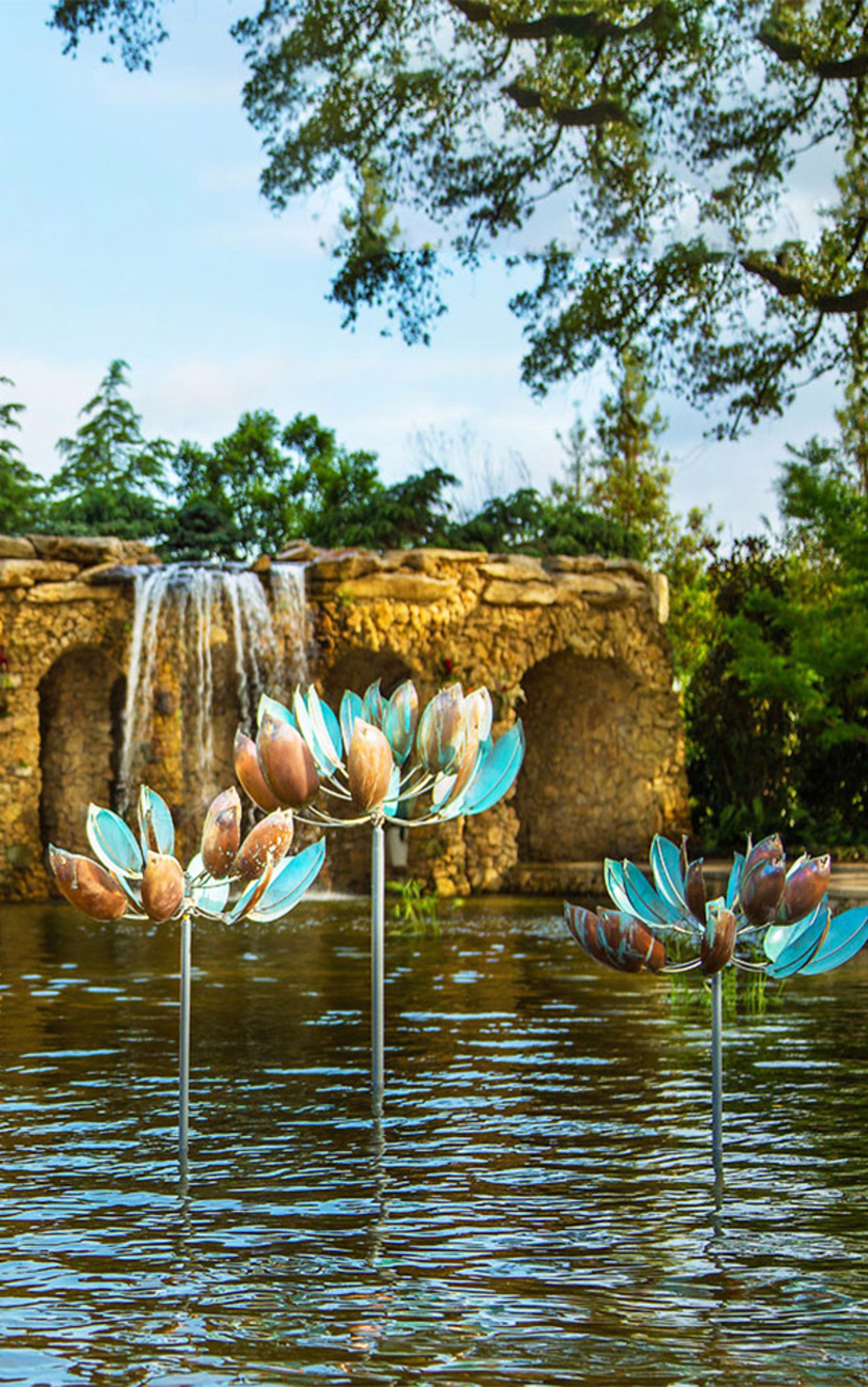 Lotus by Lyman Whitaker