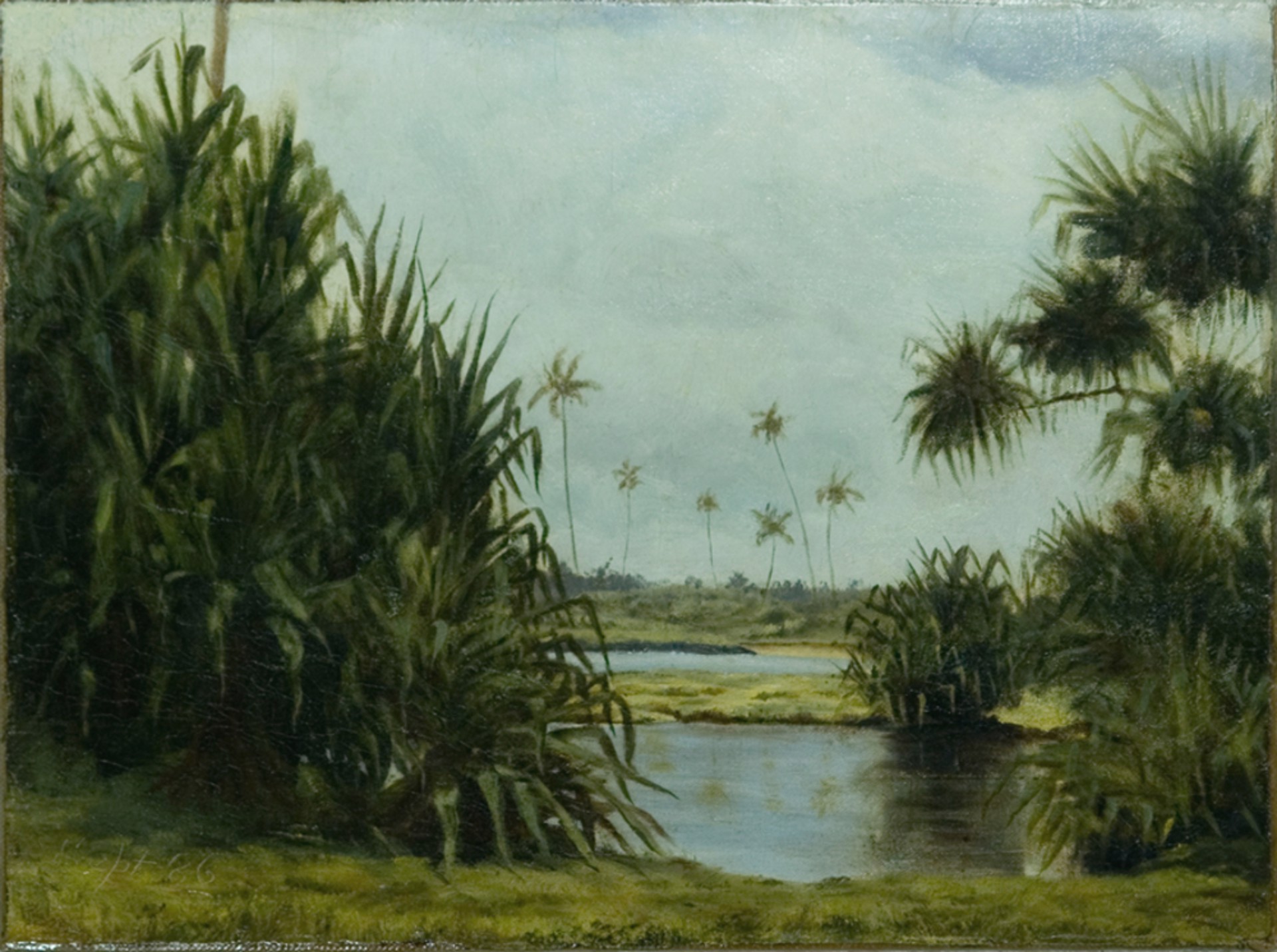 Hilo Bay, 1886 by D. Howard Hitchcock