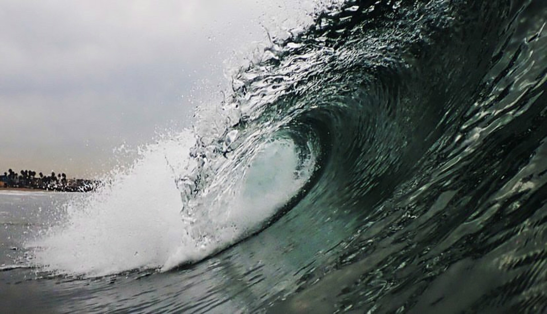 Big Wave by Mike Saijo