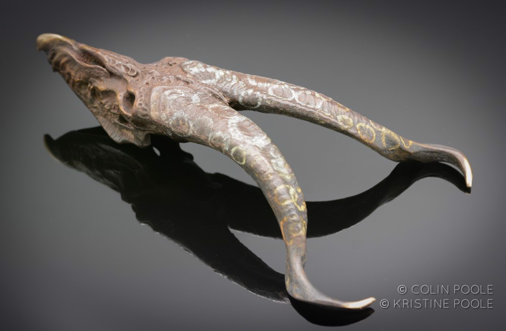 Grand Dragon Talisman Skull by Colin & Kristine Poole