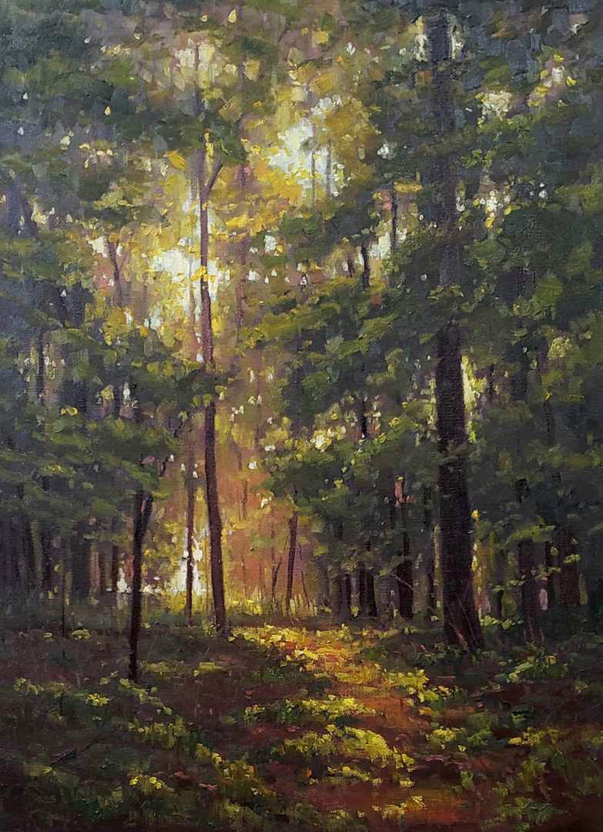 Walk in the Woods by Cristine Sundquist