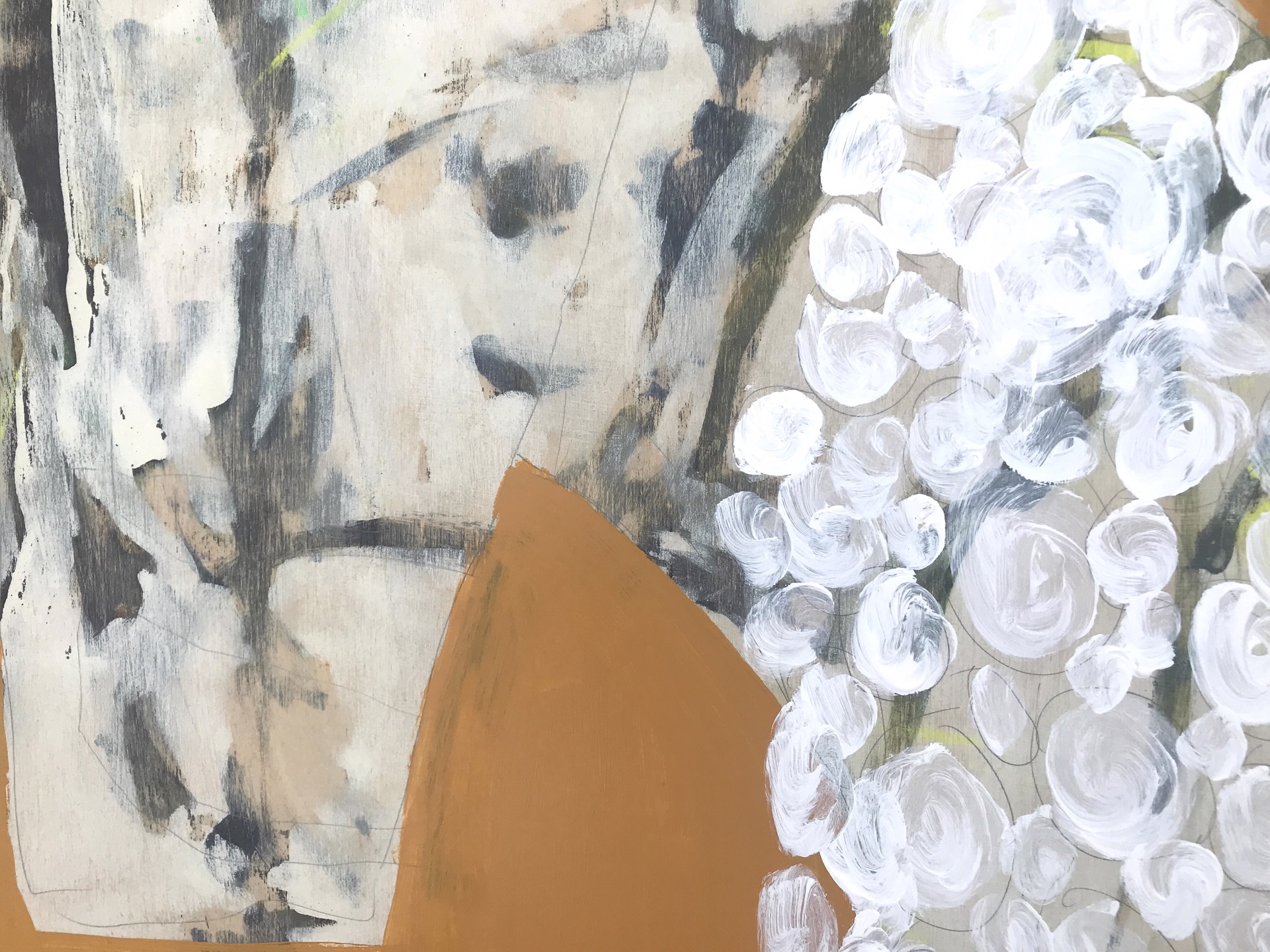 Blanket of White Carnations by Rachael Van Dyke