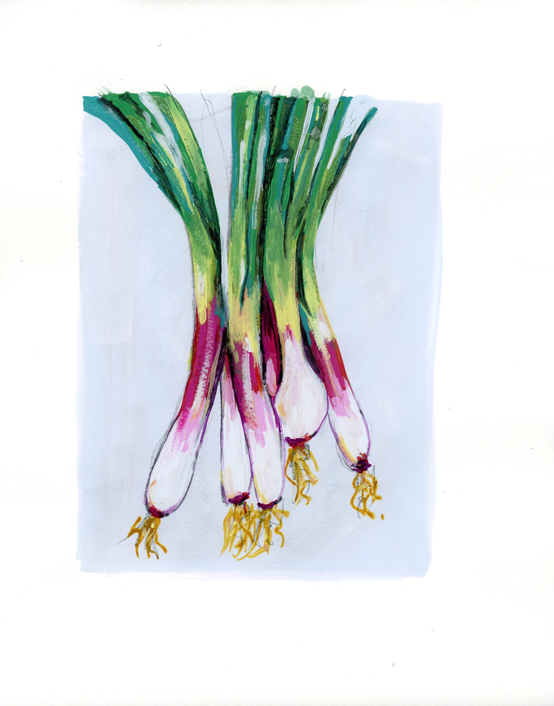 Spring Onions by Rachael Nerney