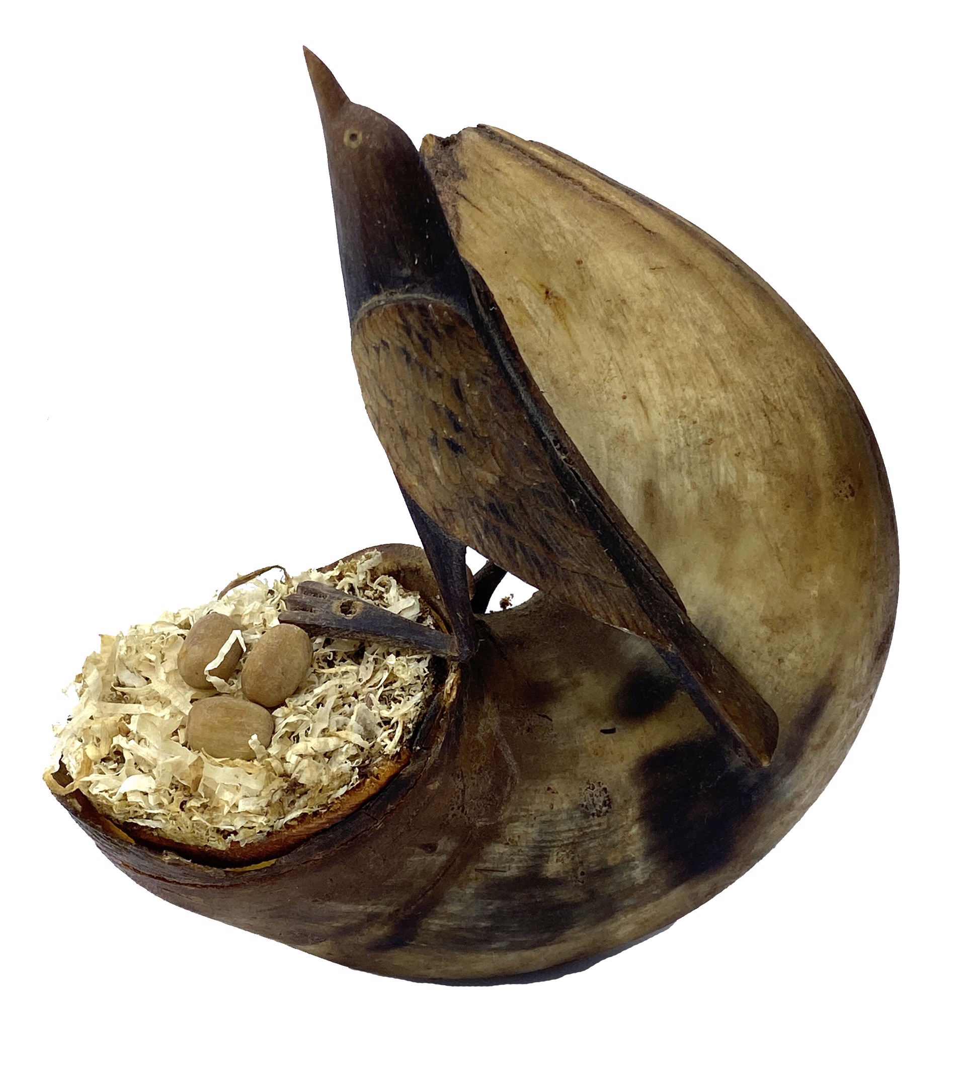 DS-56: carved horn wall mount (bird and nest on horn) by Dan Super