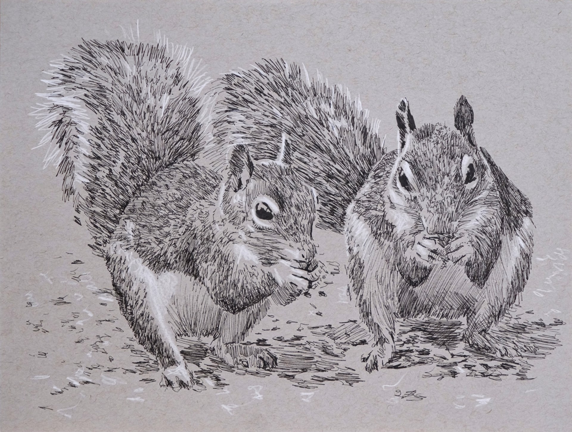 Squirrel Duo by Ed Ford