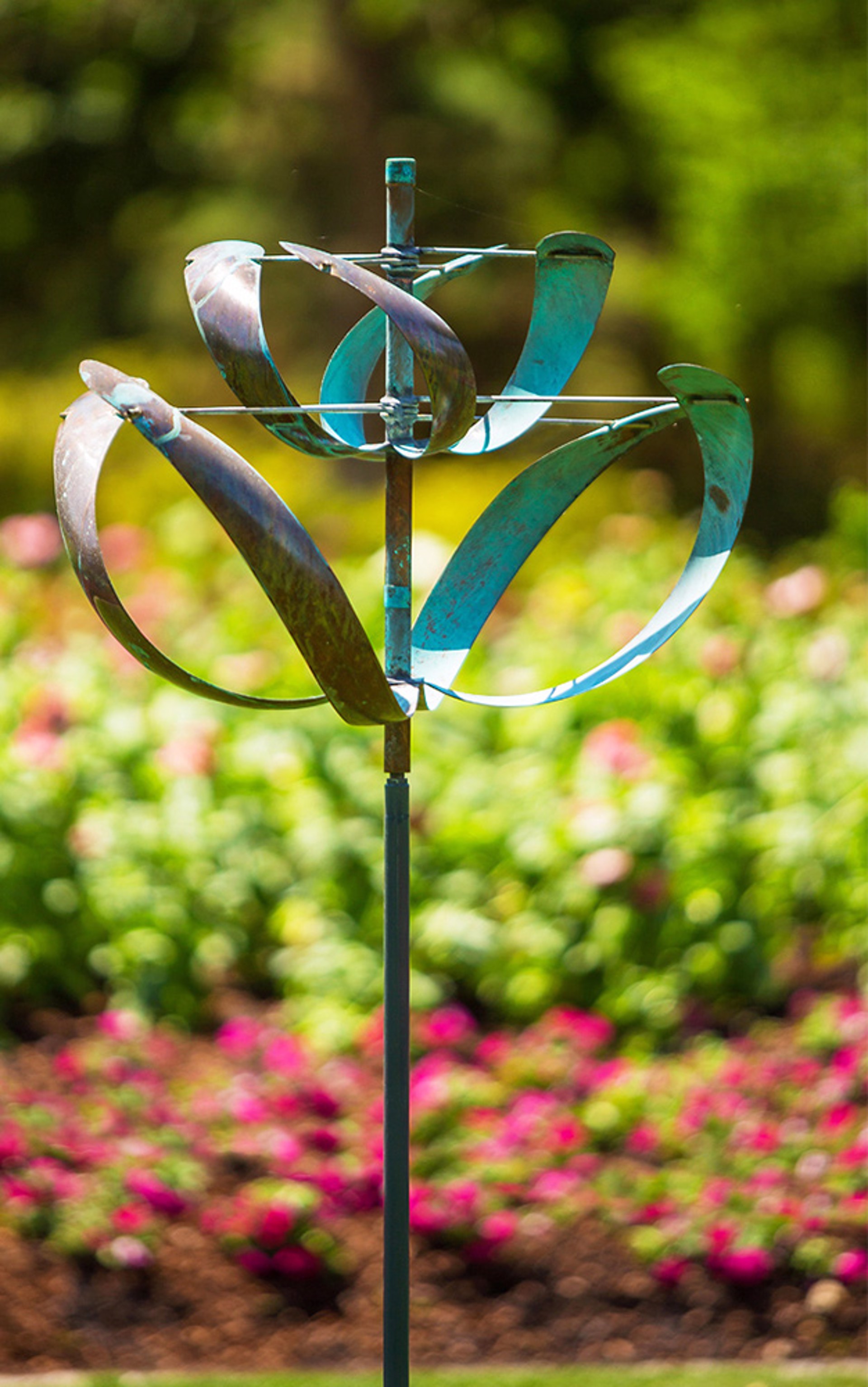 Windflower by Lyman Whitaker