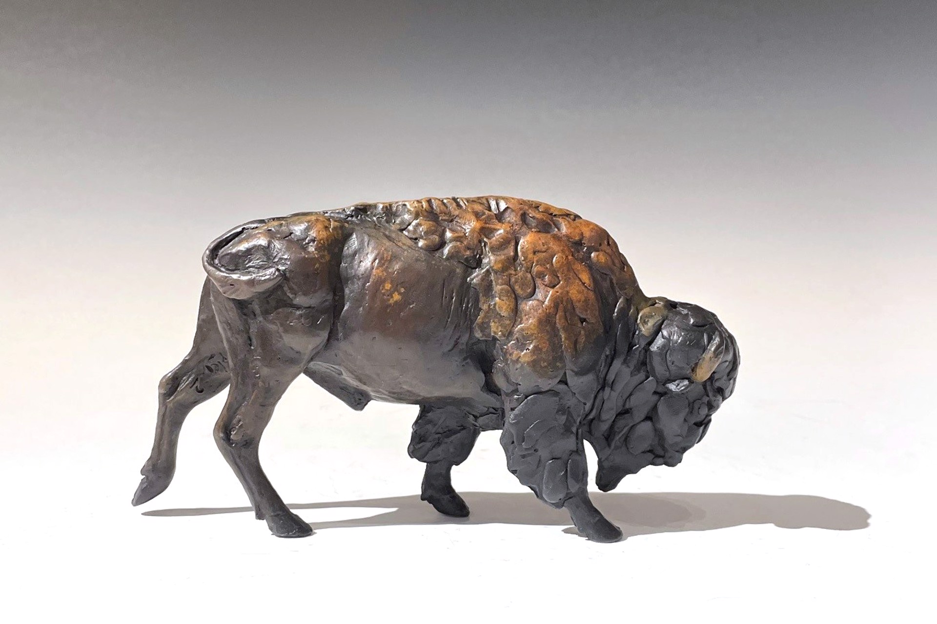 Miniature Bison by Jim Eppler