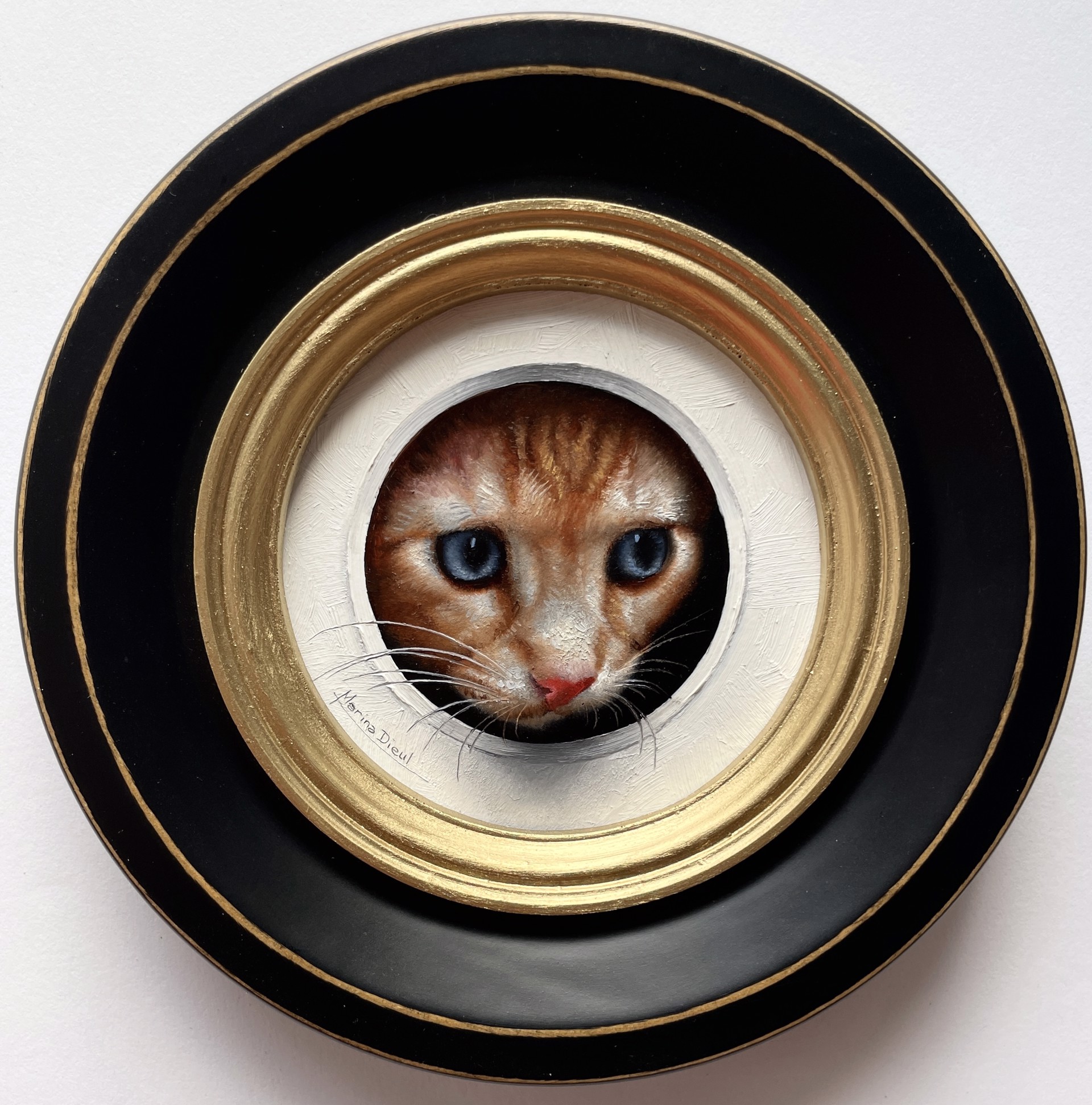 Chaton 46 by Marina Dieul