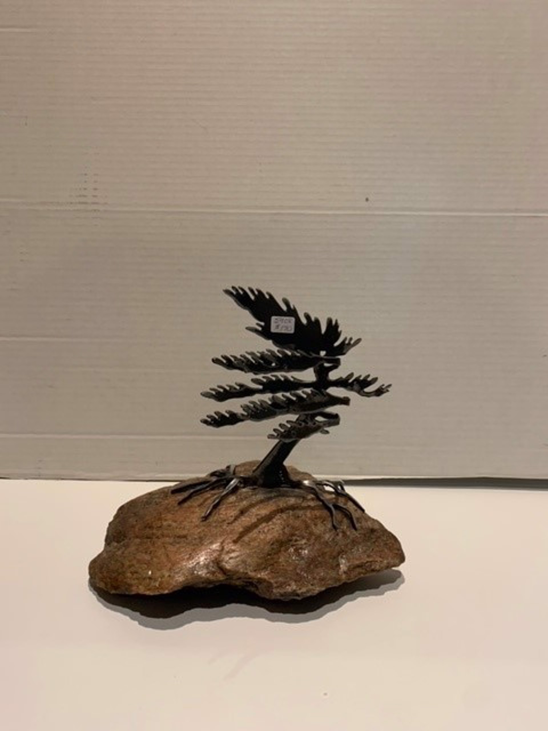 Windswept Pine 5908 by Cathy Mark