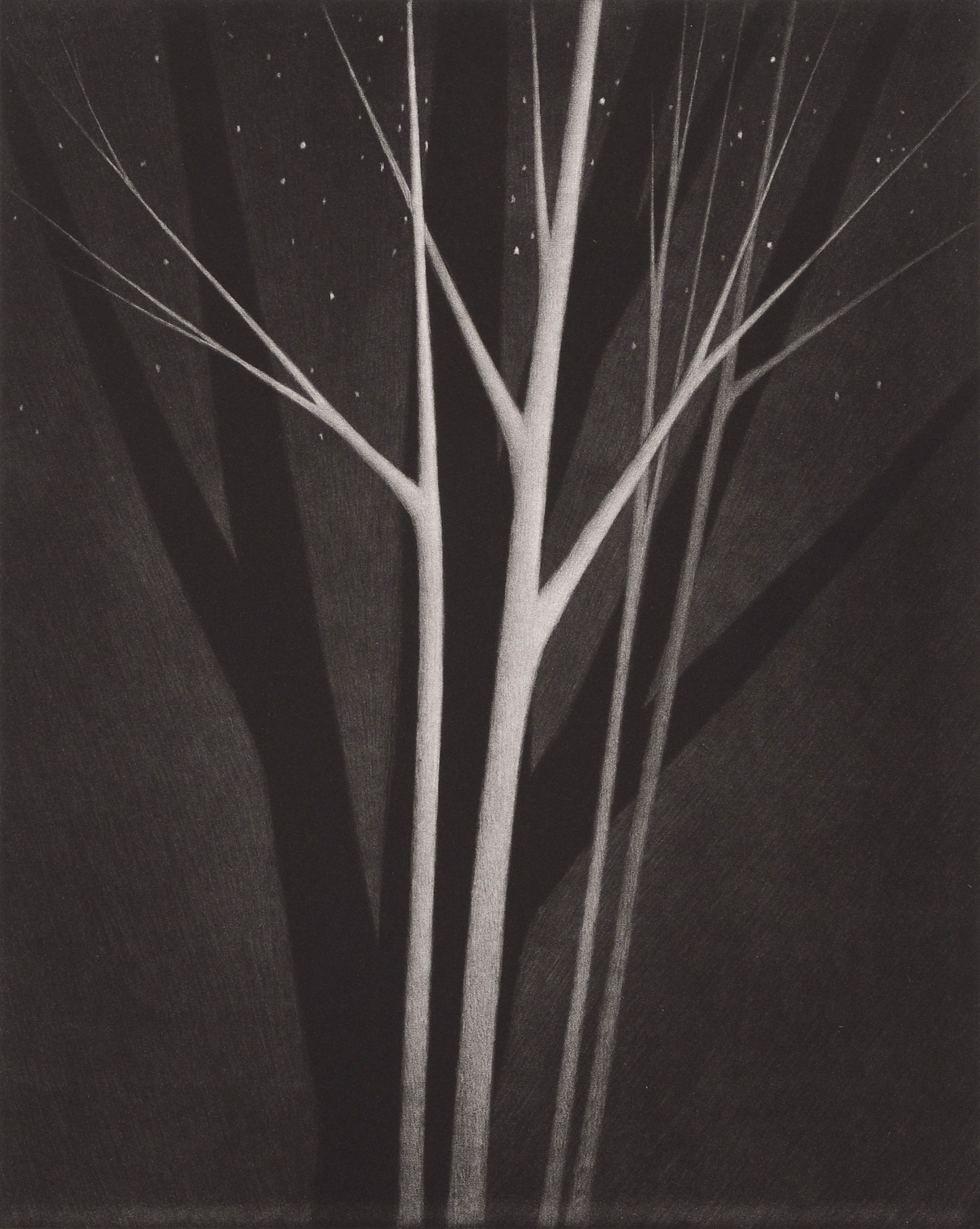 Trees & Stars by Robert Kipniss