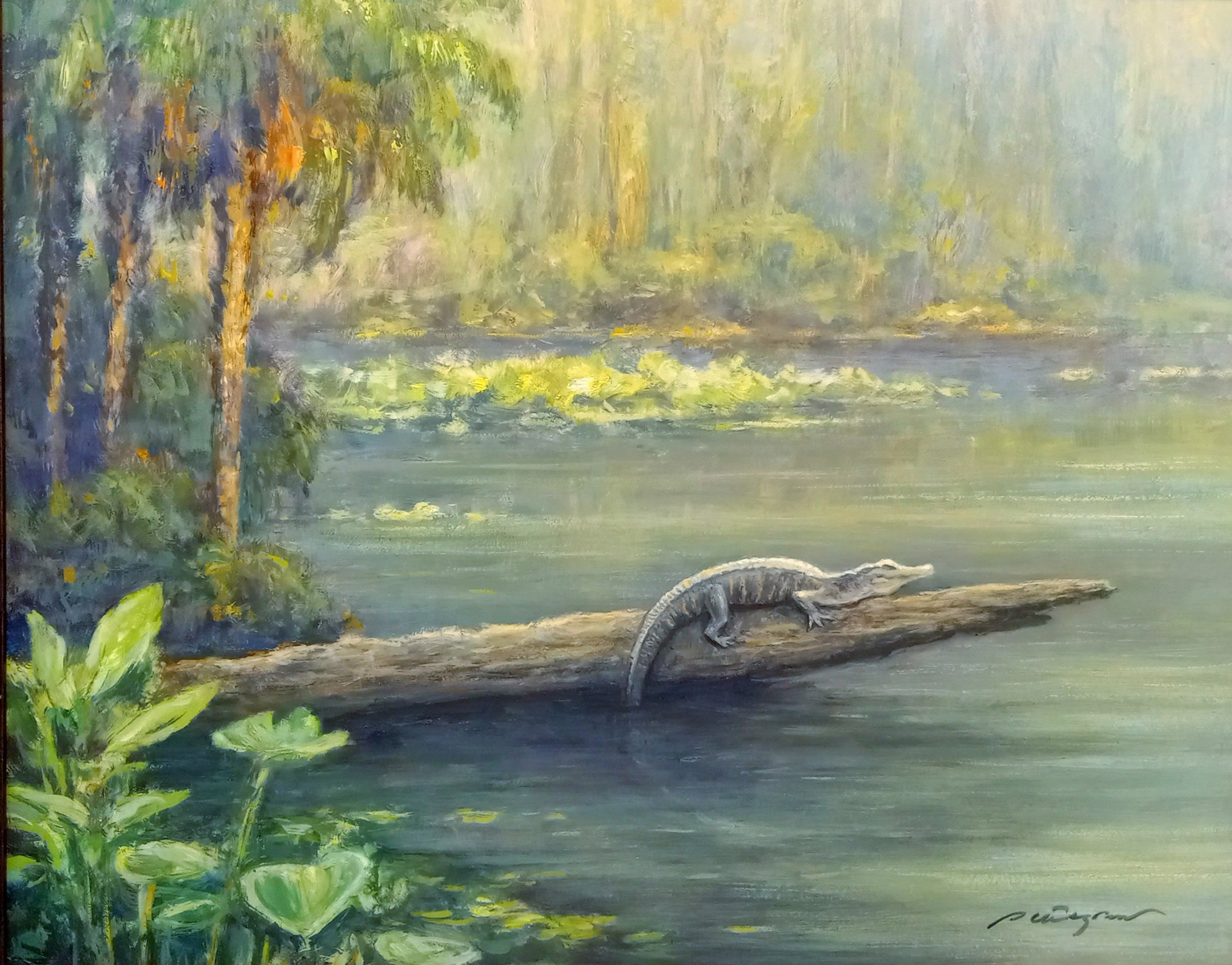 Morning Sunshine by Peter Pettegrew