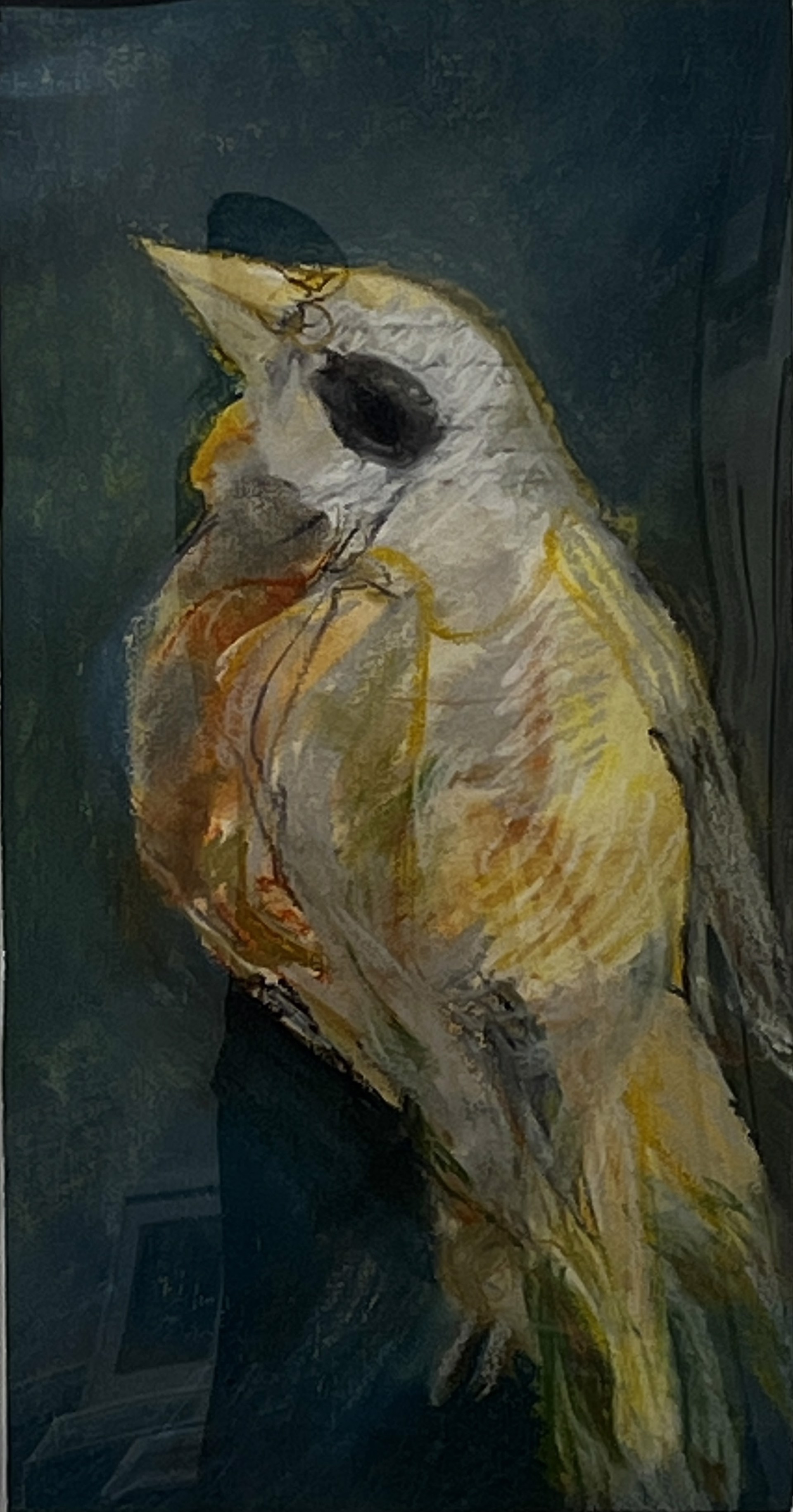 Bird by Robert Henry