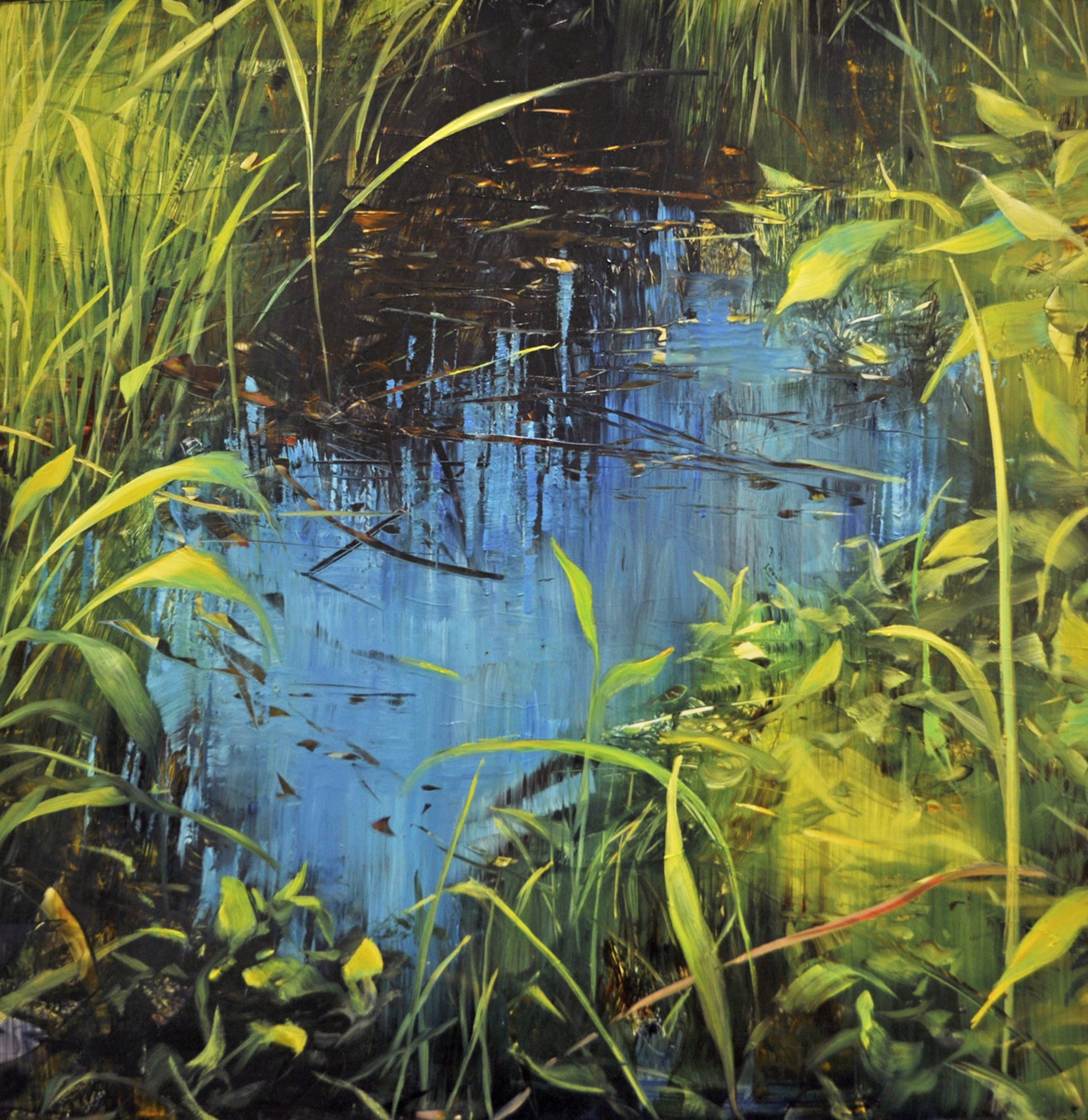 Pocket Pond by David Dunlop
