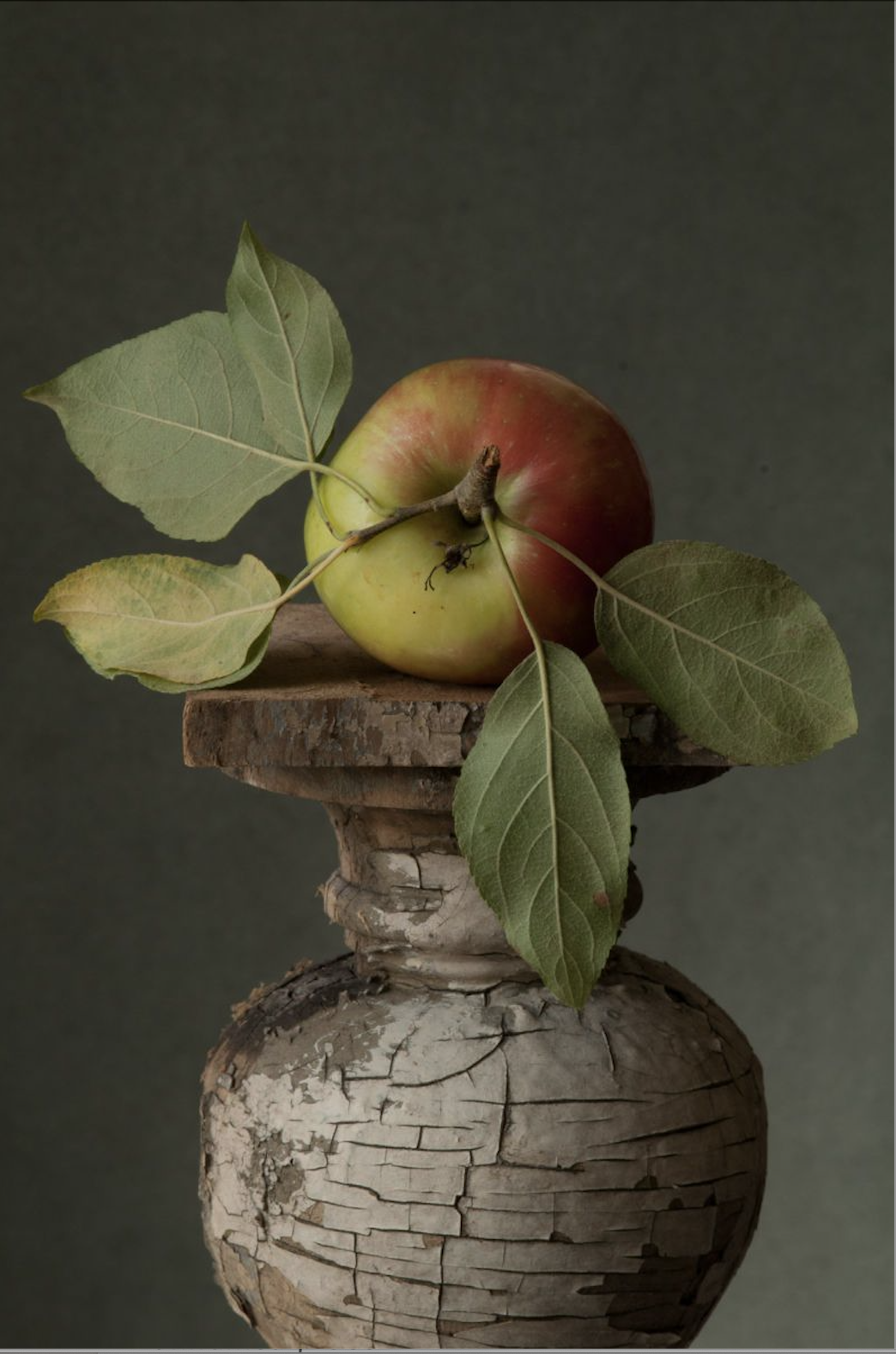 Heirloom Apple 1 by Lynn Karlin
