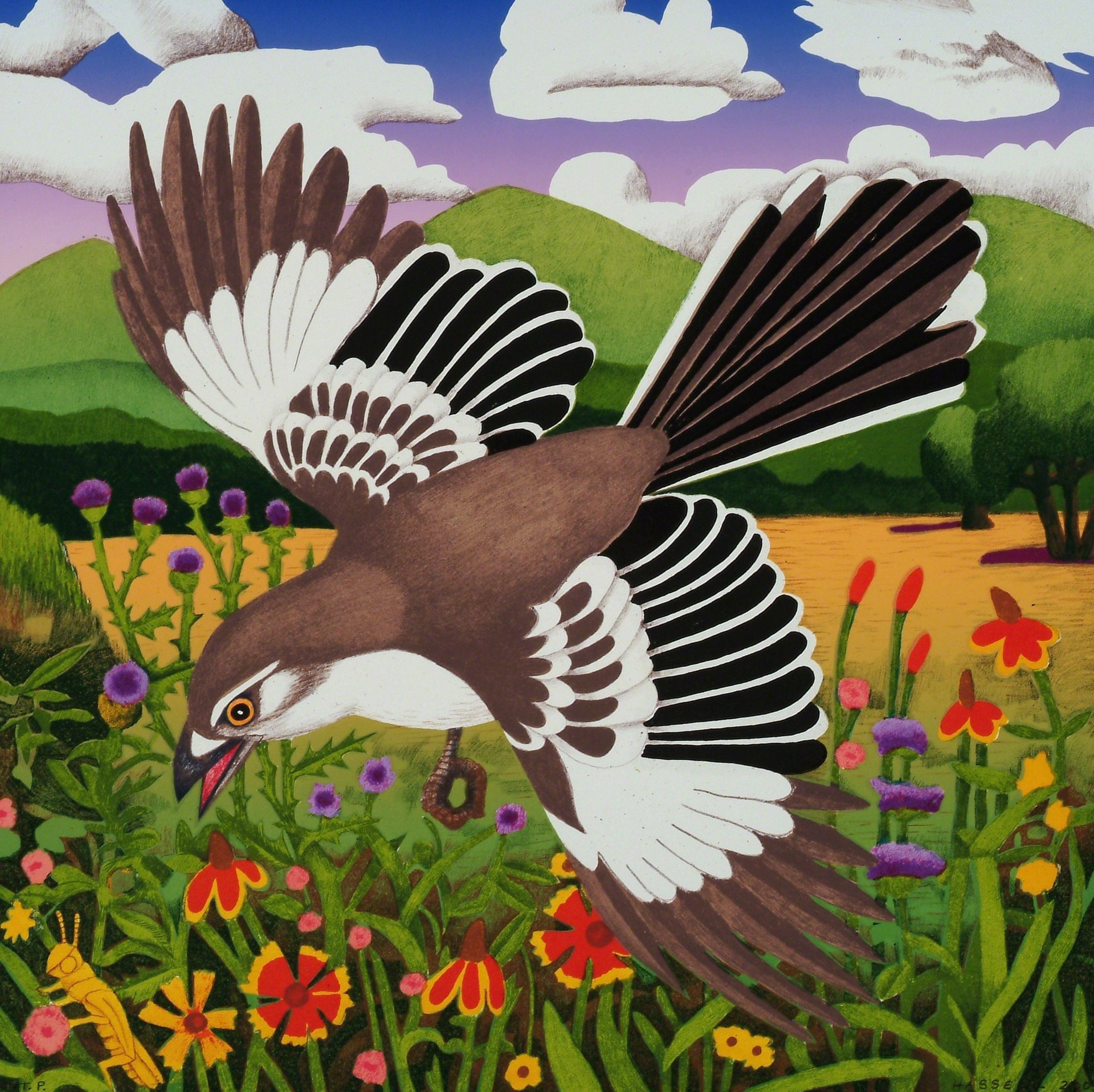 Mockingbird in the Hill Country by Billy Hassell