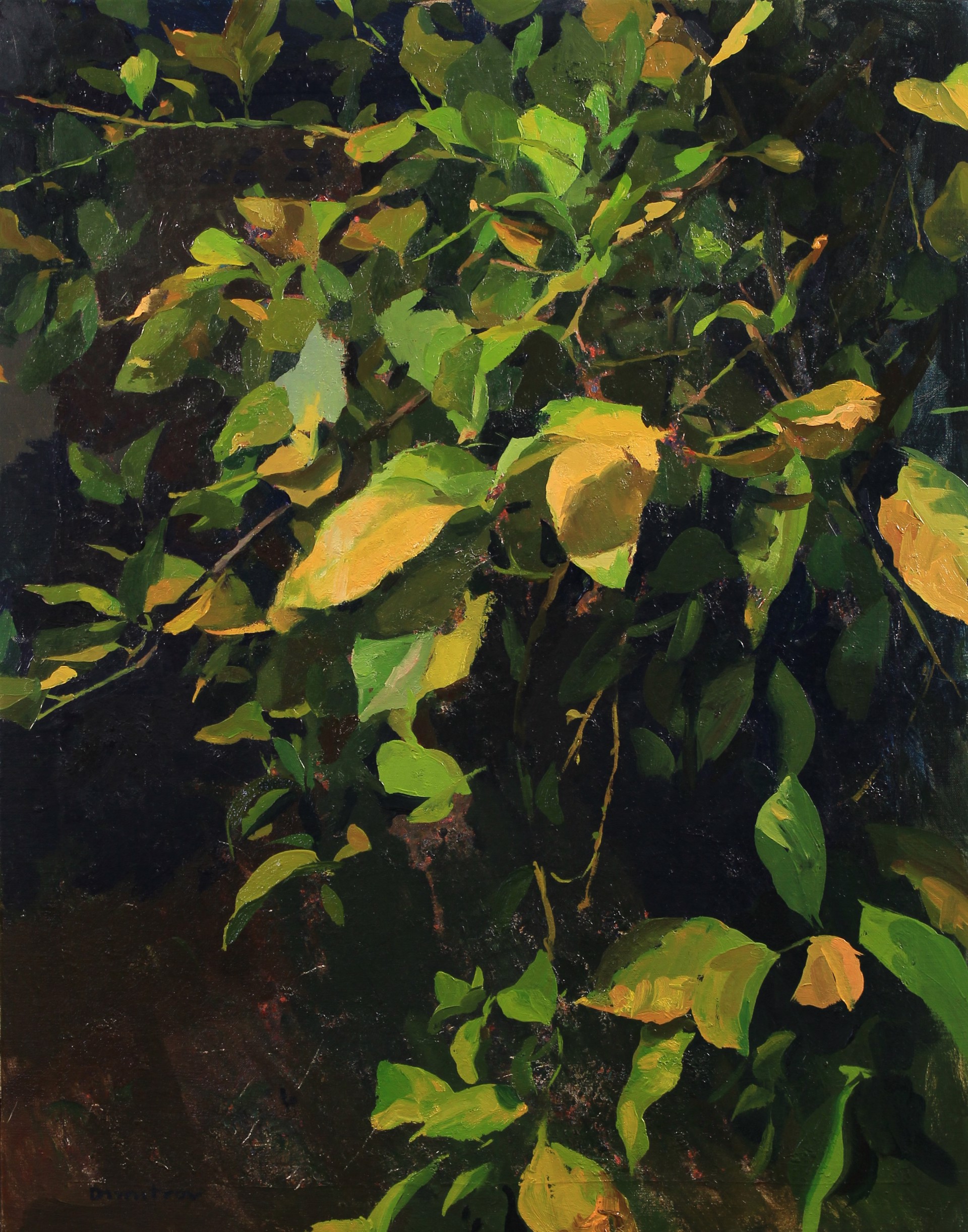 Lemon Leaves by Martin Dimitrov