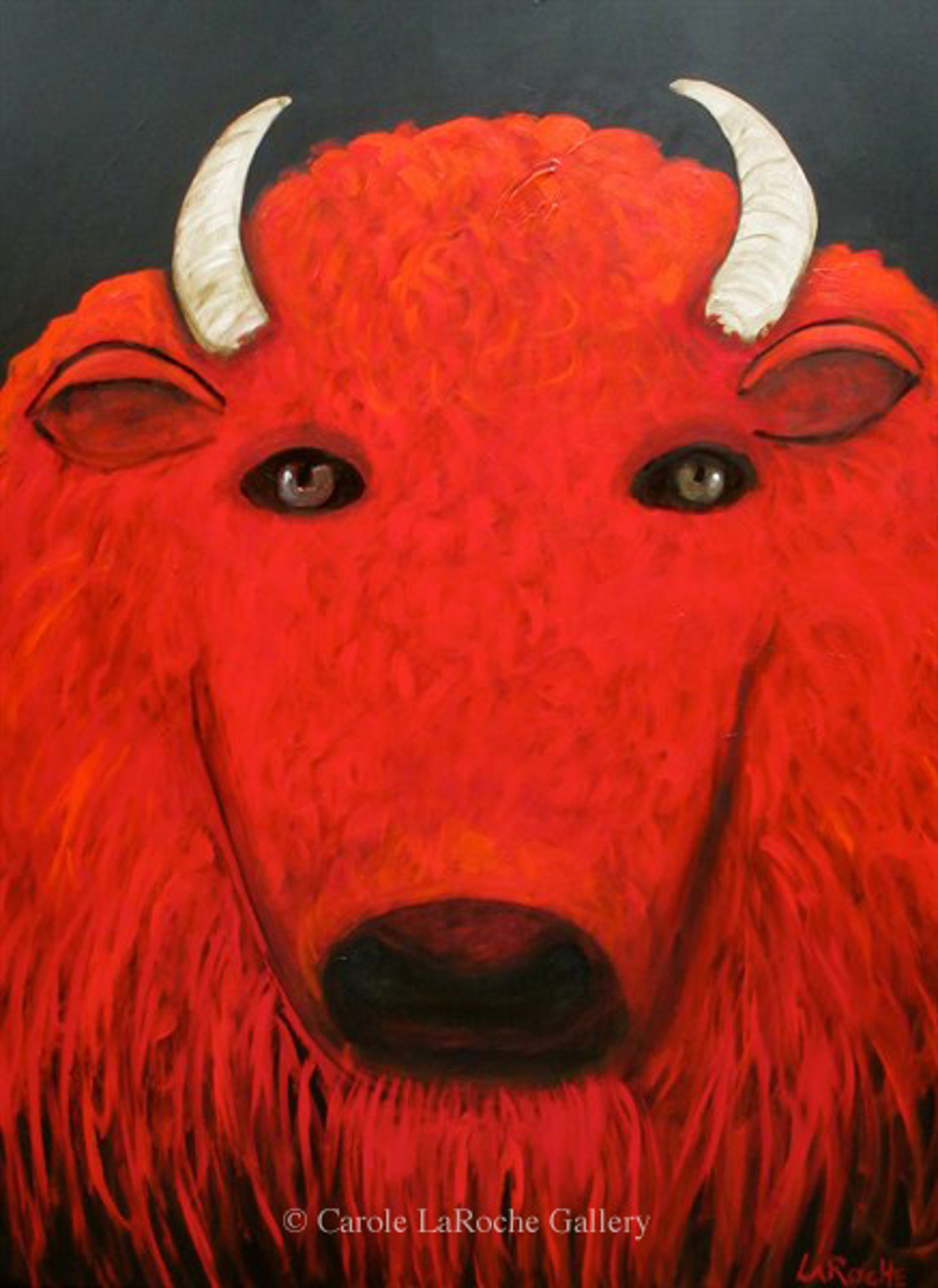 RED BUFFALO by Carole LaRoche