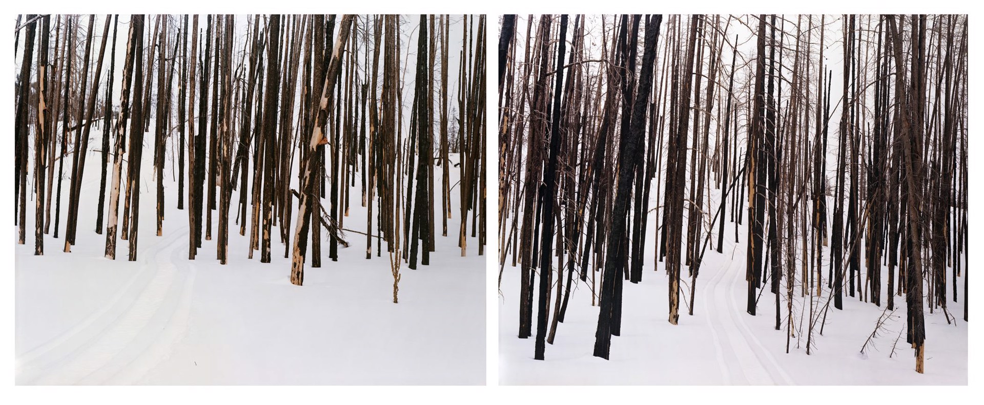 Midwinter, Two Sides of One Hill Diptych 4/5 by Laura McPhee