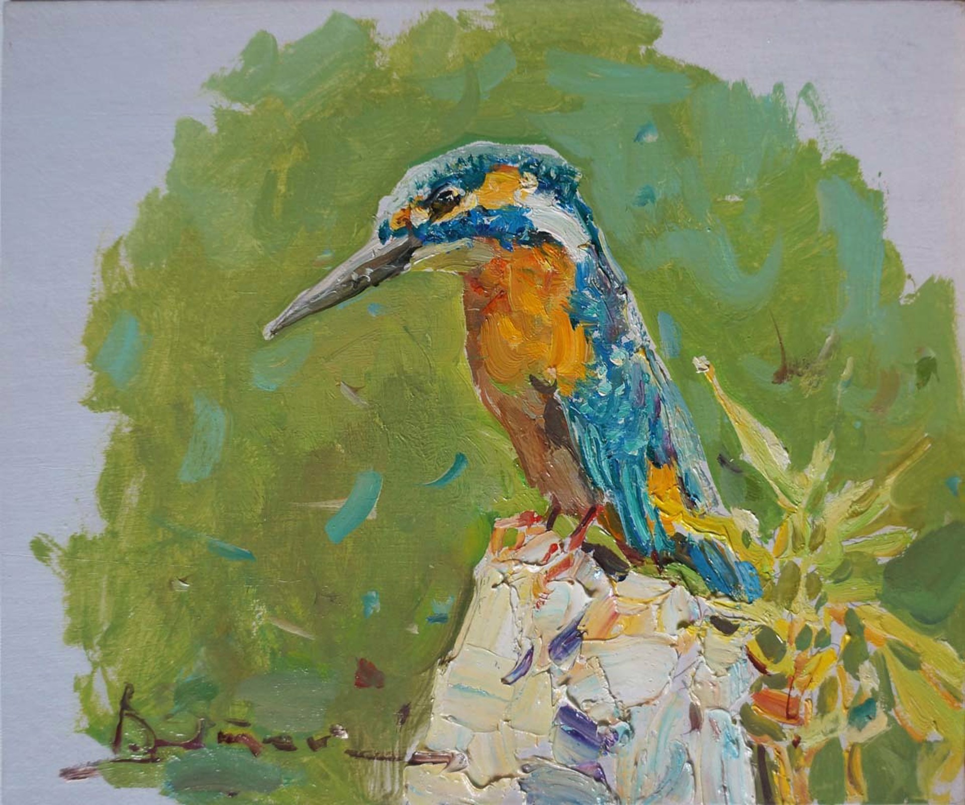 Kingfisher by Ivan Vityuk