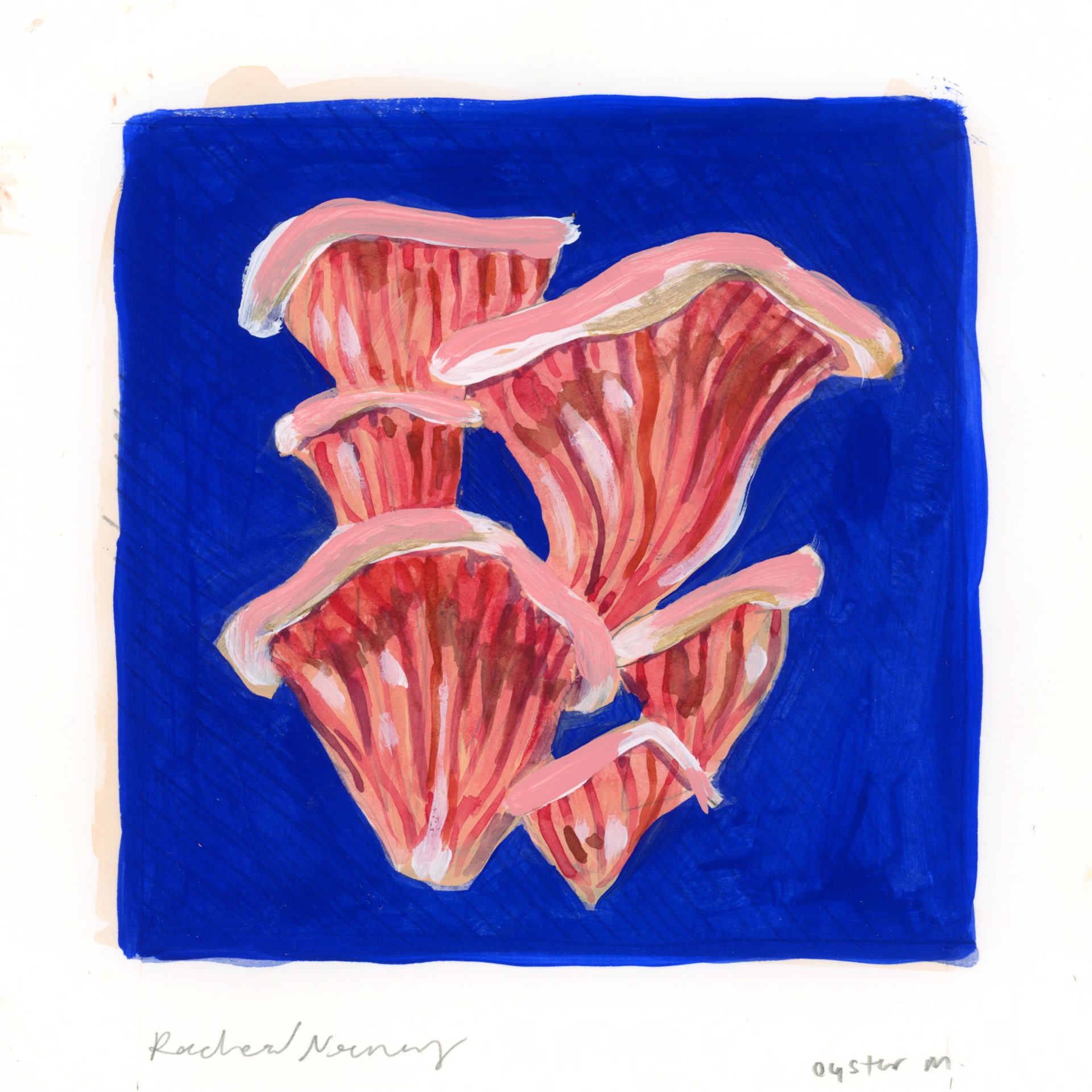Oyster Mushrooms by Rachael Nerney