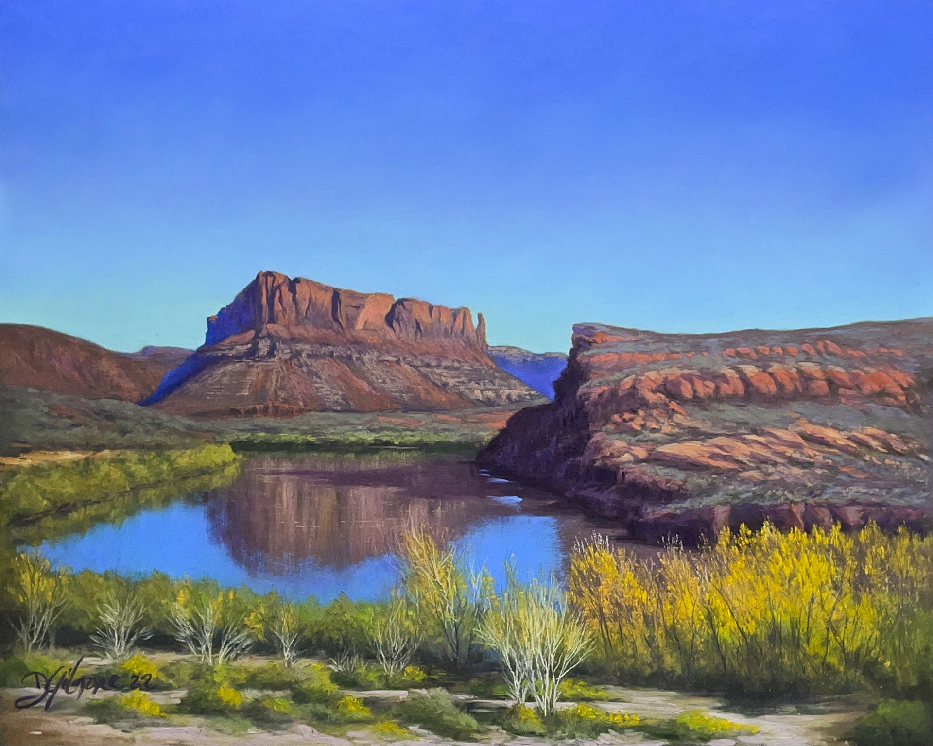 Canyonlands Splendor by David Gilmore