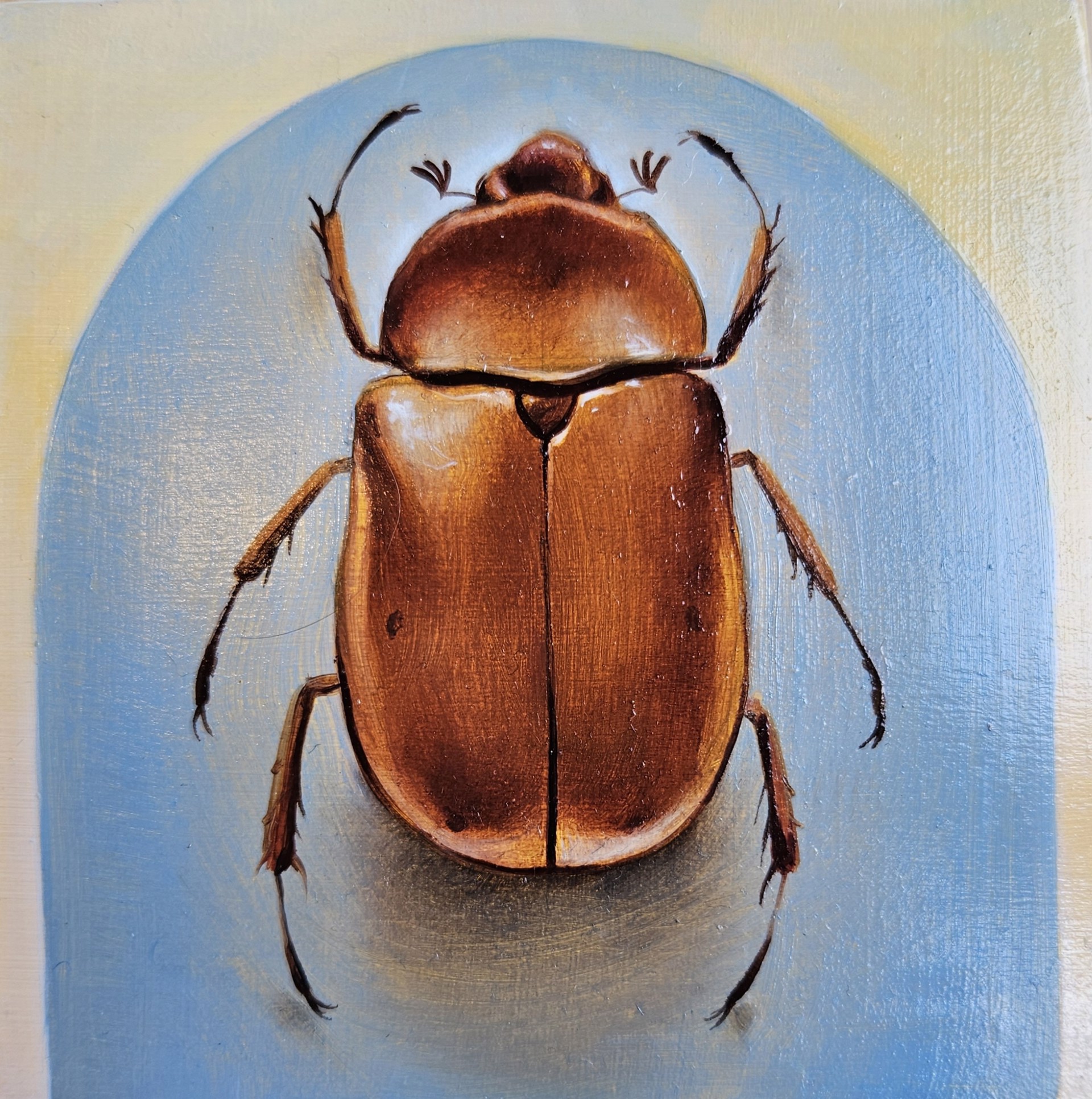 Untitled - June Bug by Ida Floreak