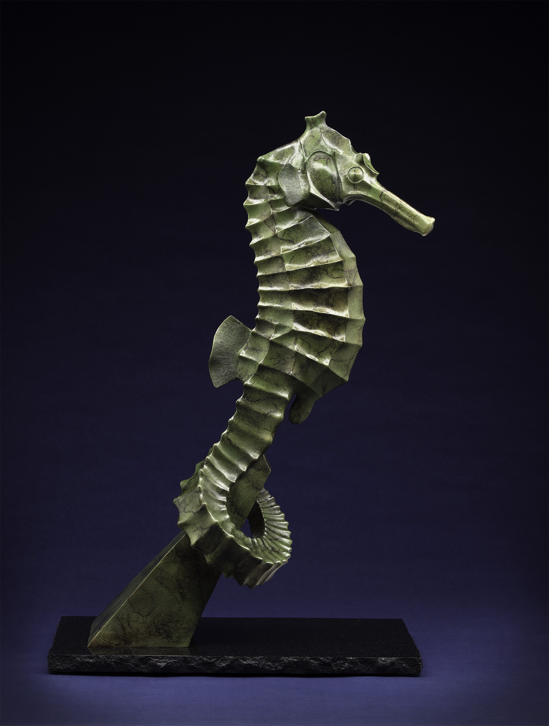 The Seahorse by Tony Hochstetler