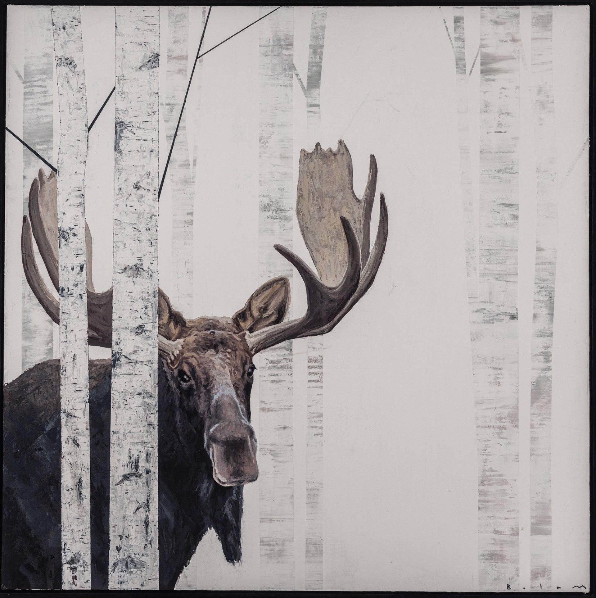 NORTHERN GENTLEMAN by Andrew Bolam