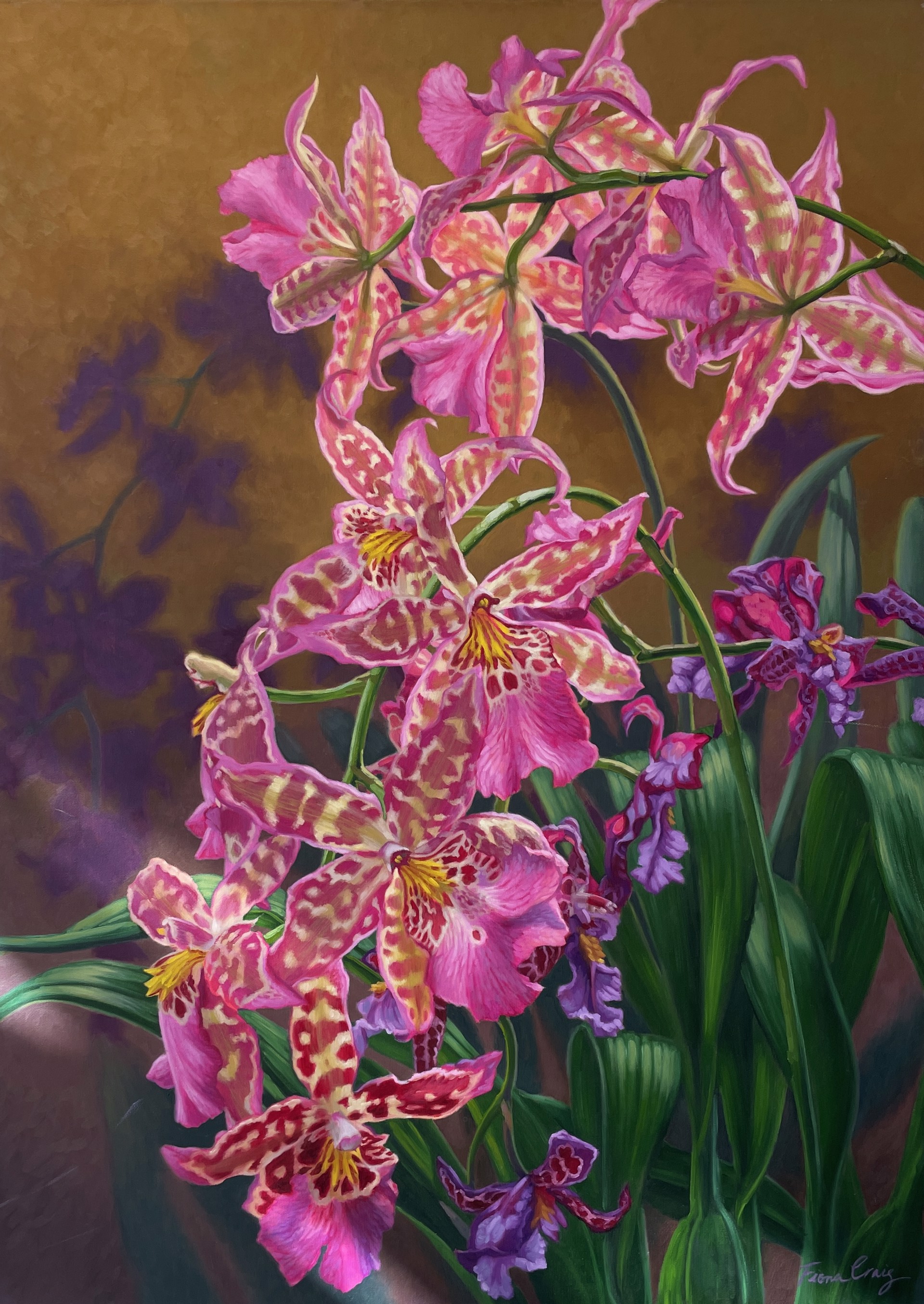 Orchid Fever 3 by Fiona Craig