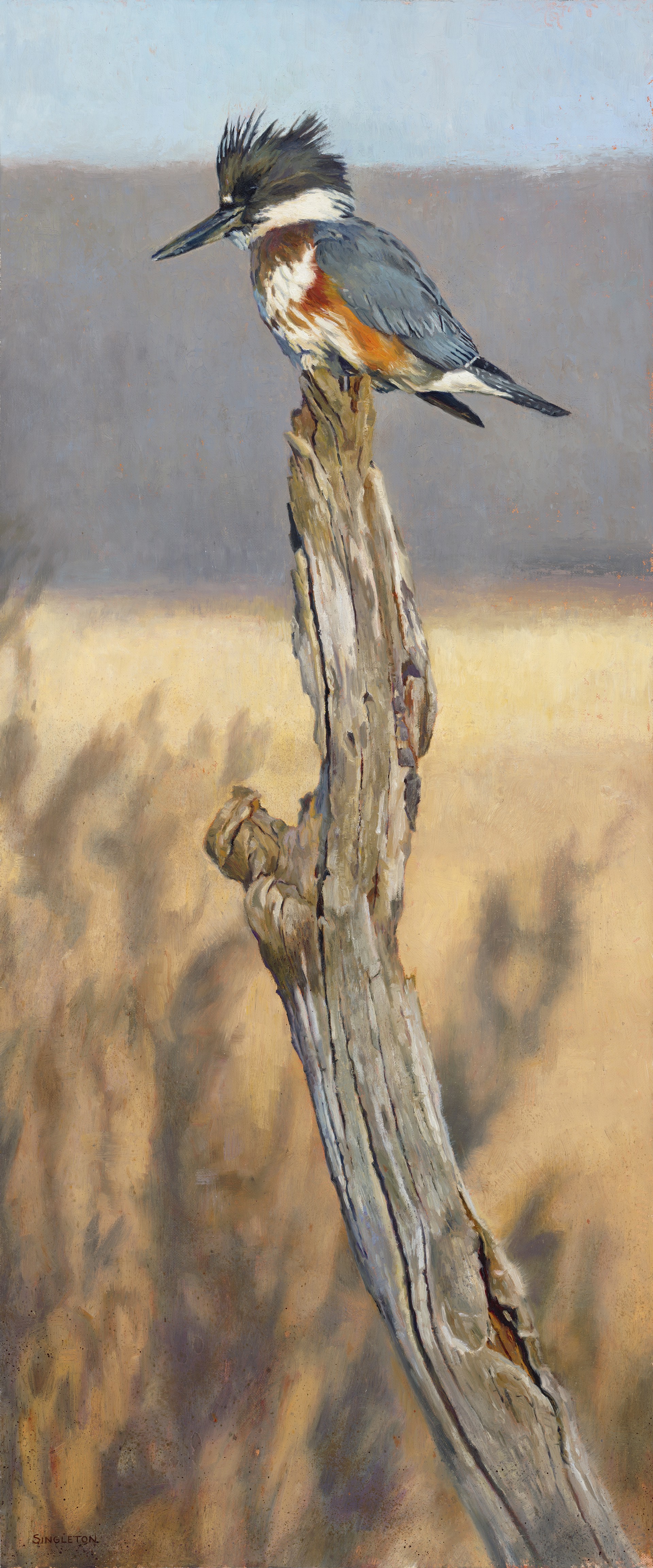 HER FAVORITE PERCH by Kelly Singleton