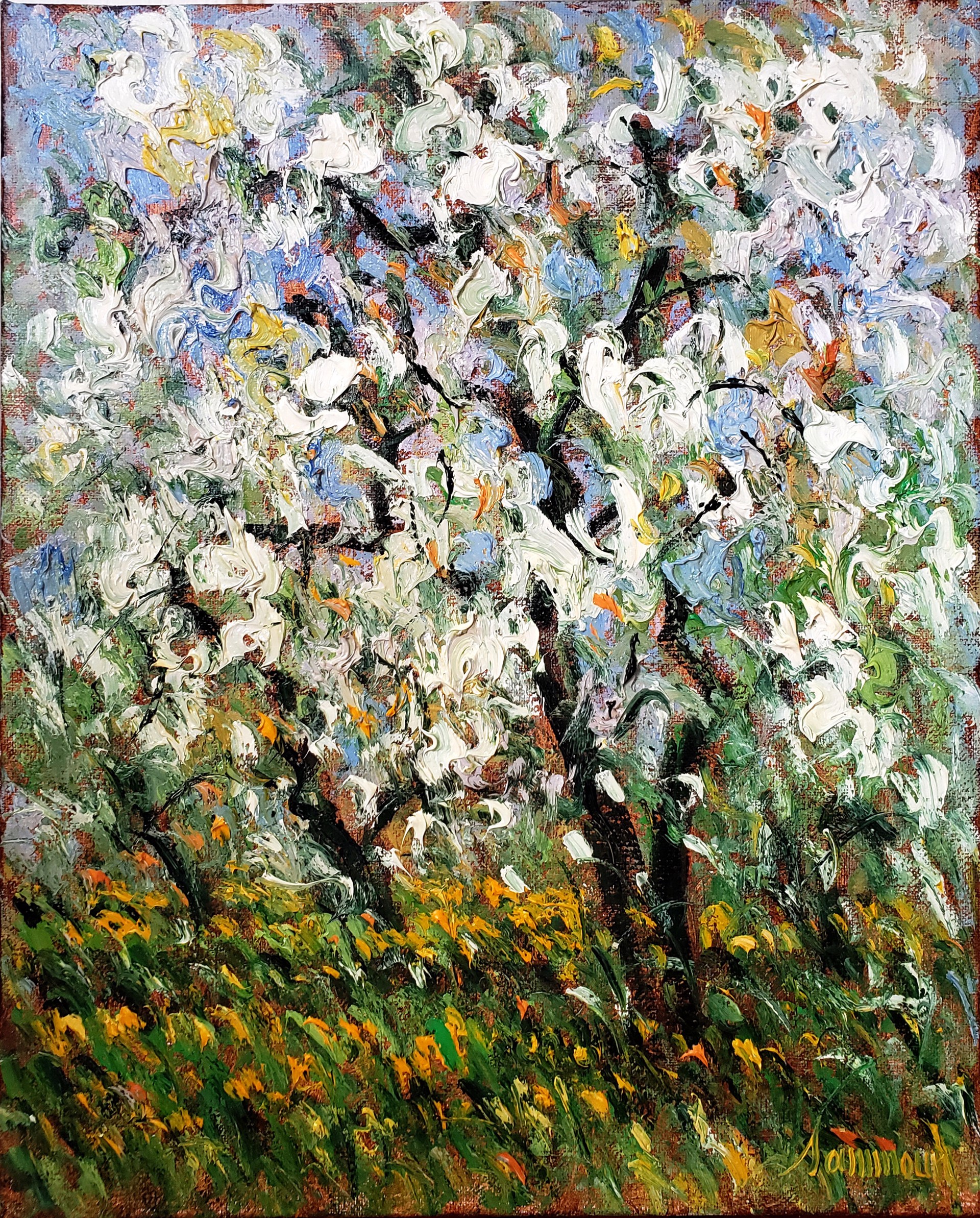 Pommiers en fleurs, mai, 20x16 by Samir Sammoun