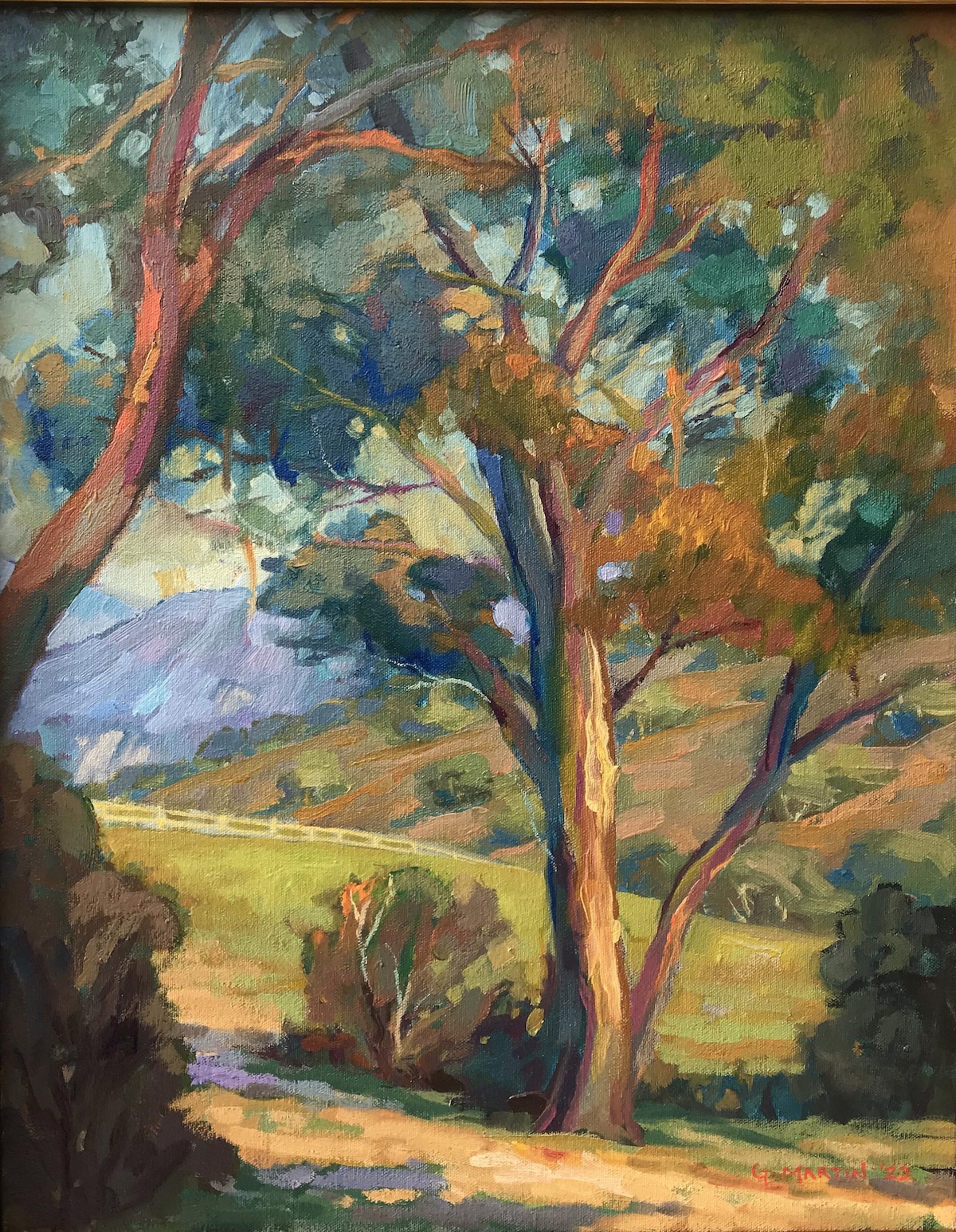 Eucalyptus In The Hills by Gerard Martin