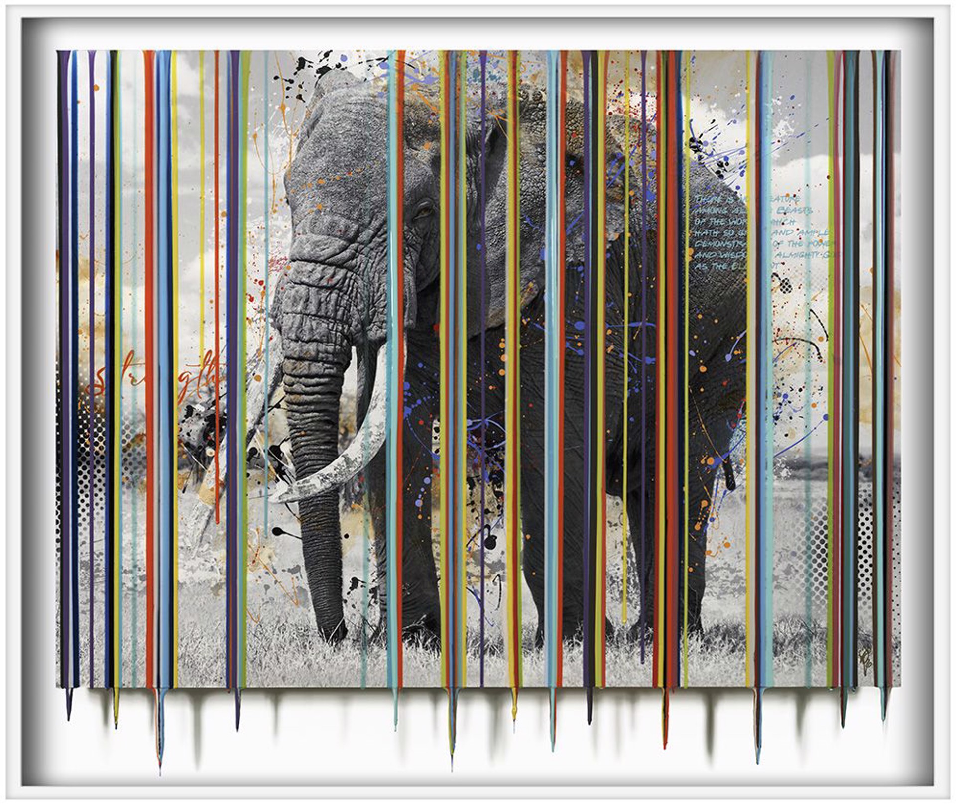 Elephant II by Srinjoy, Icon Glamour