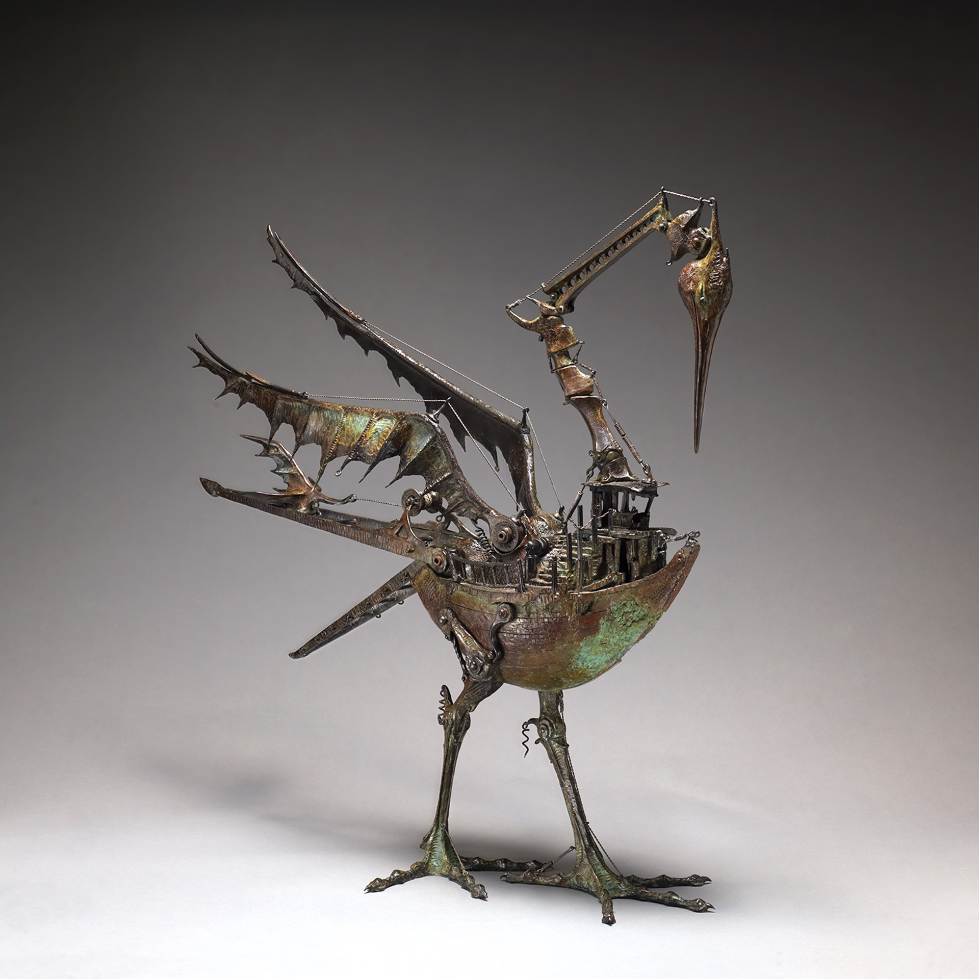 A Darwinian Conundrum by David Crawford